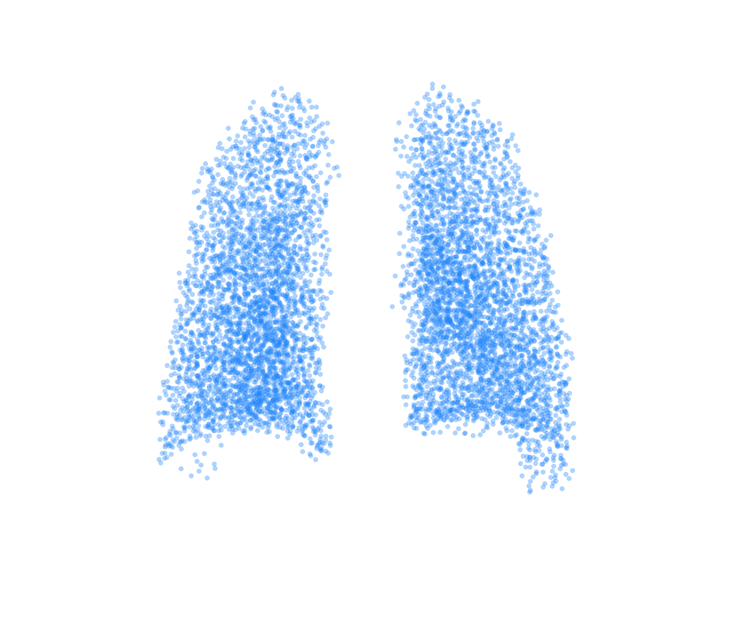 Point Cloud (Inspiration) - Back View