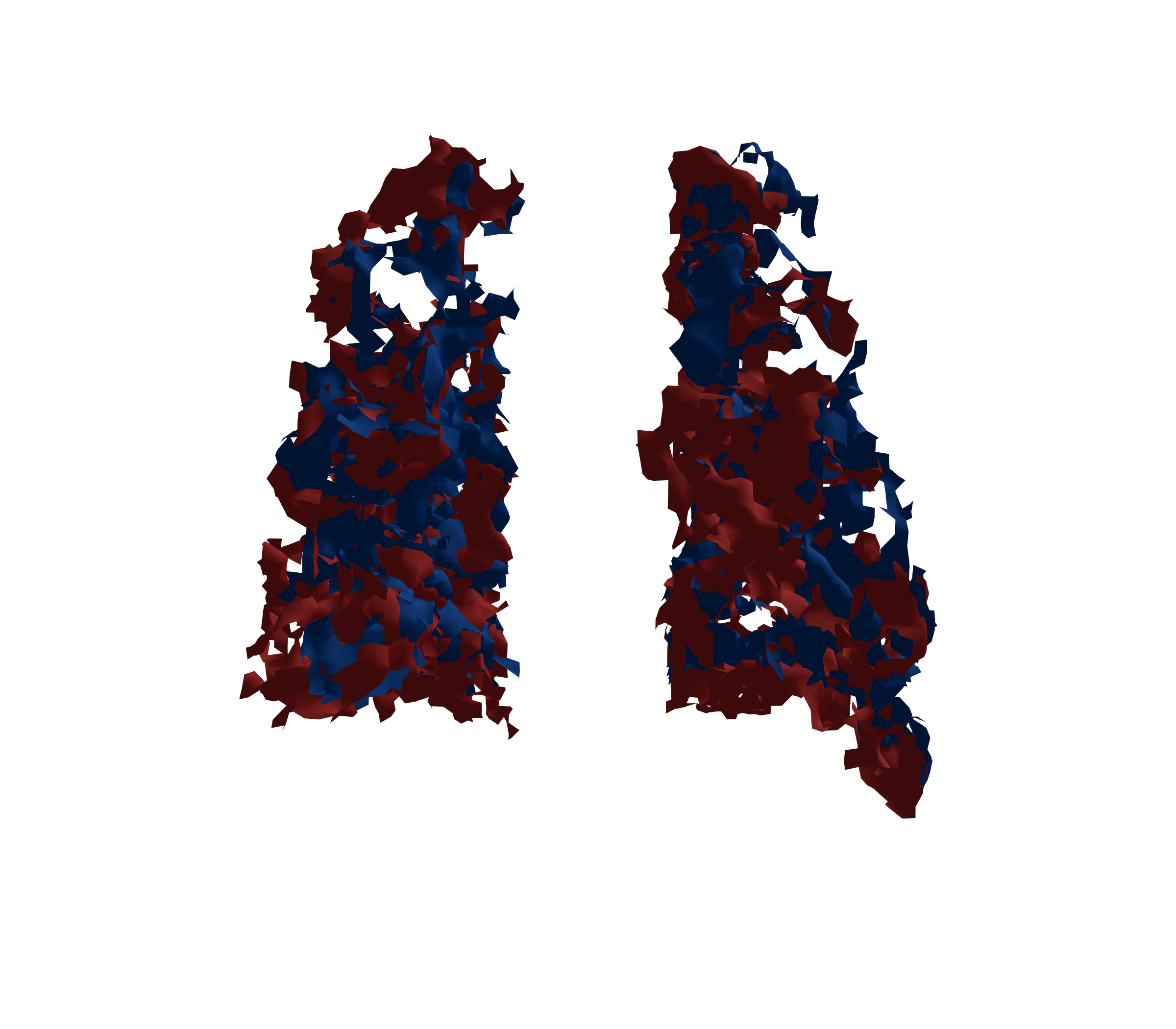 Surface Mesh - Back View