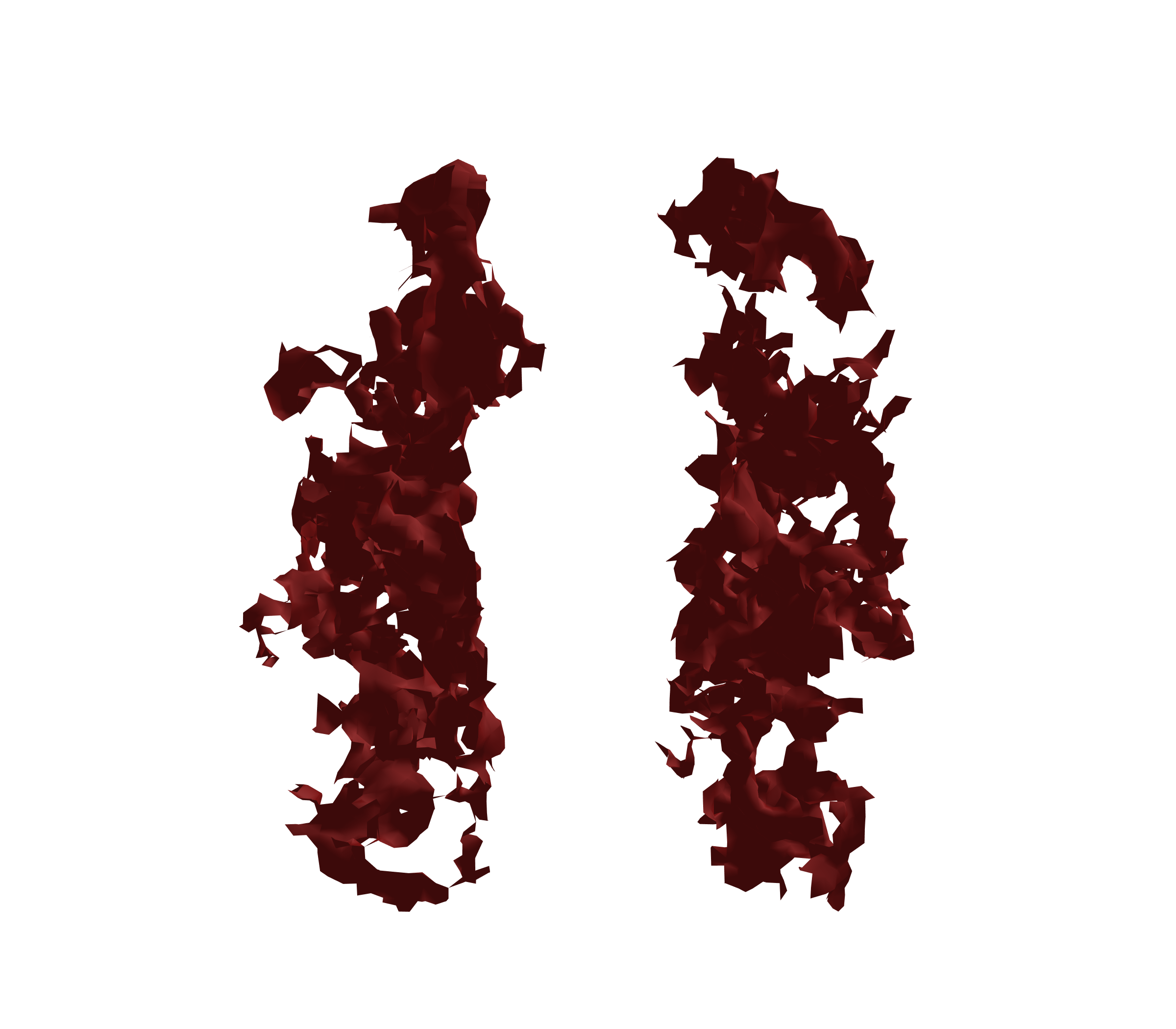 Surface Mesh (Expiration) - Front View