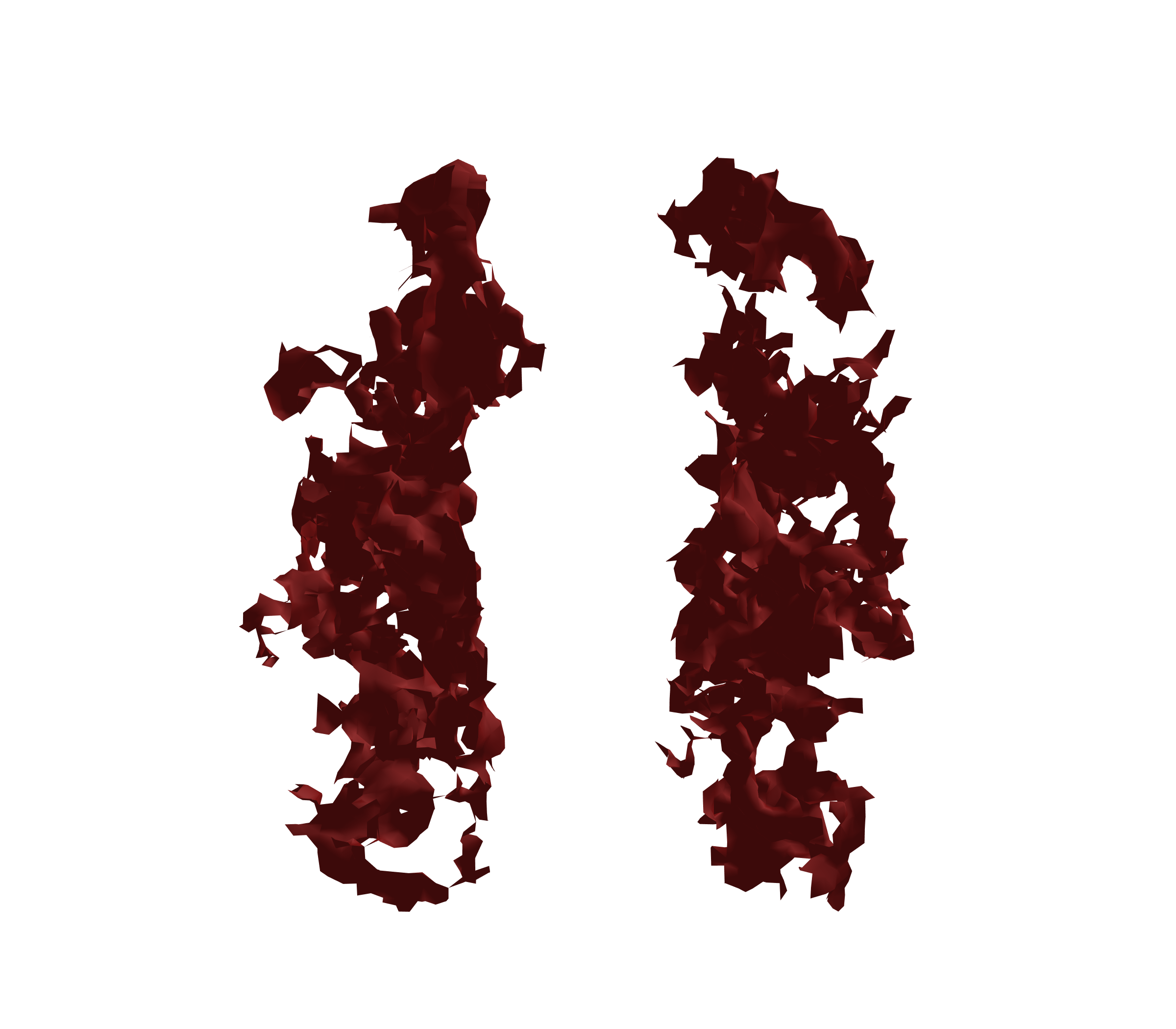 Surface Mesh (Expiration) - Front View