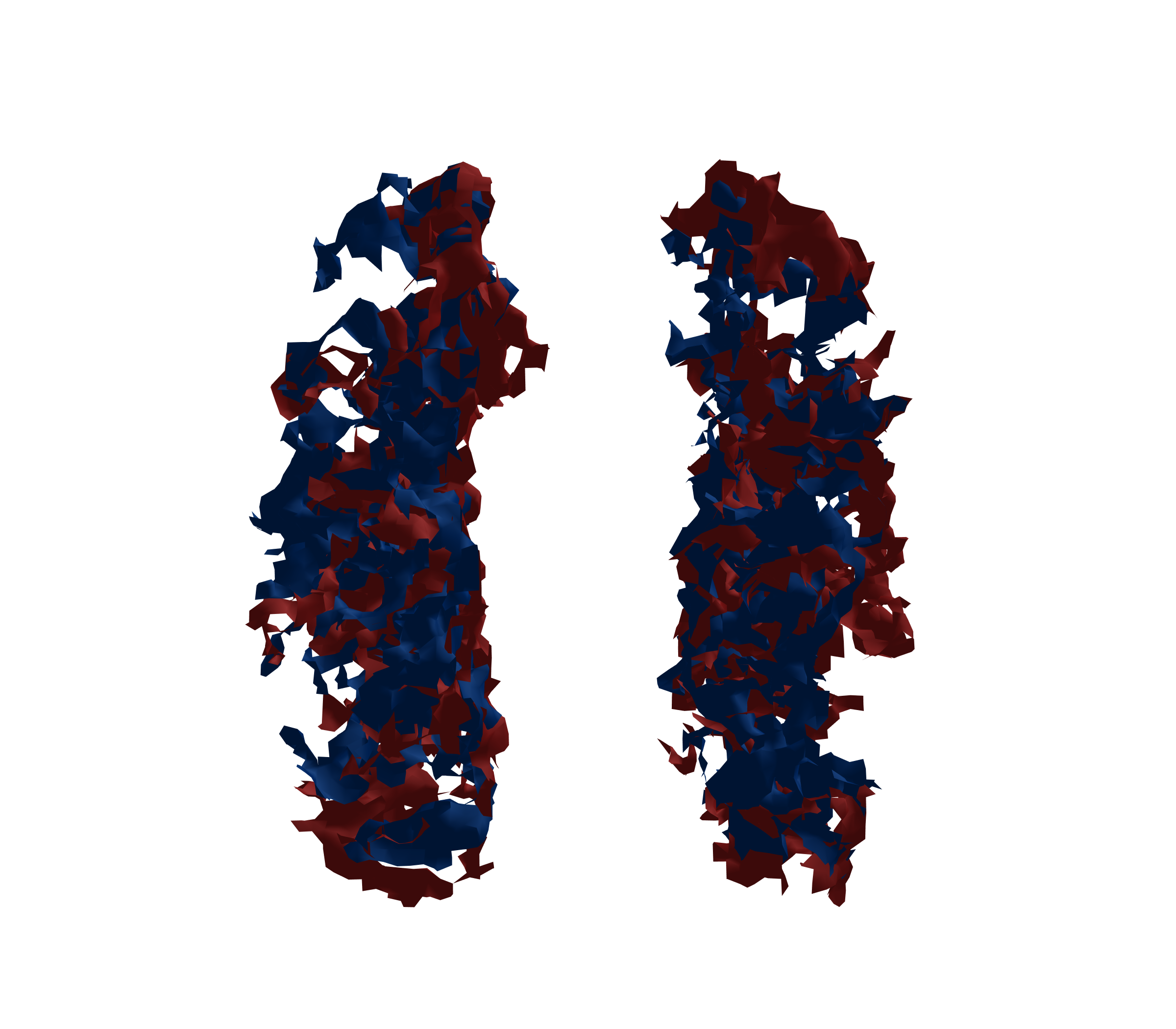 Surface Mesh - Front View