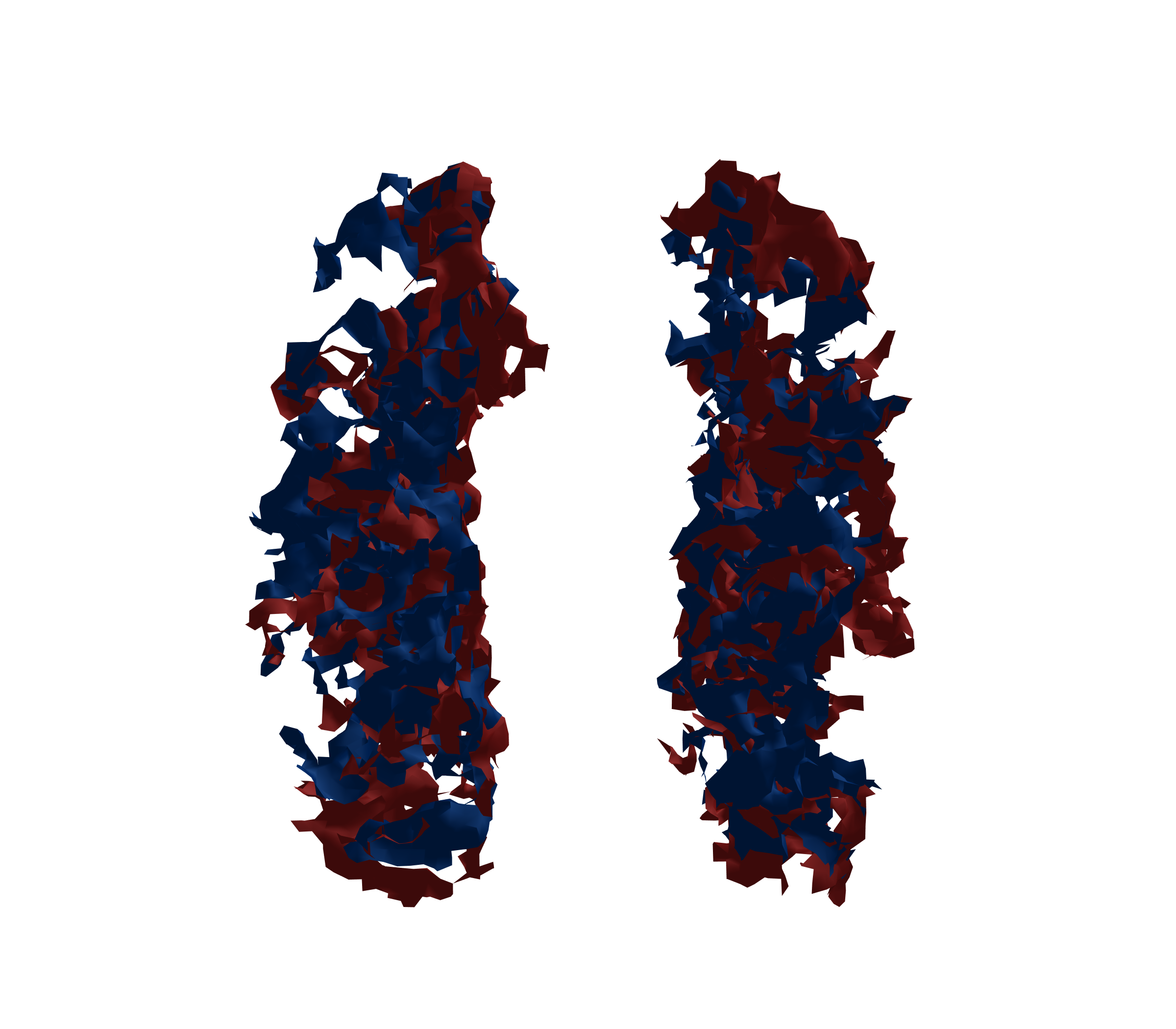 Surface Mesh - Front View