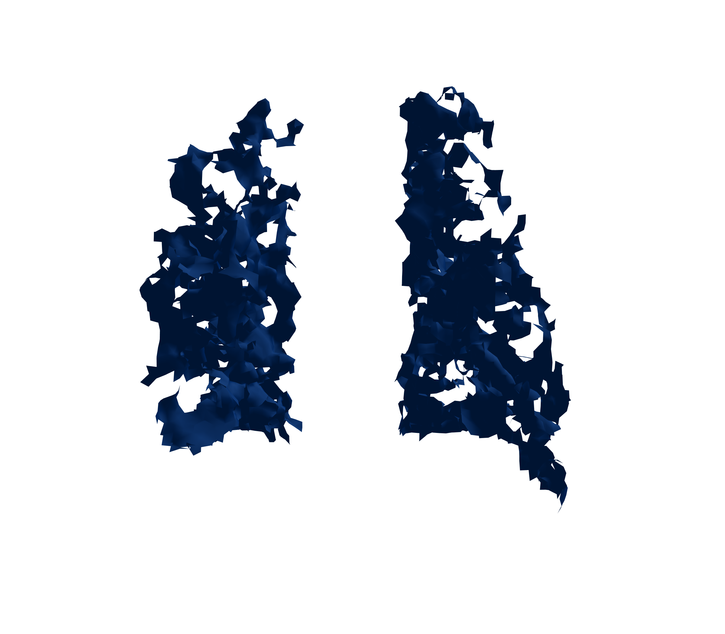 Surface Mesh (Inspiration) - Back View