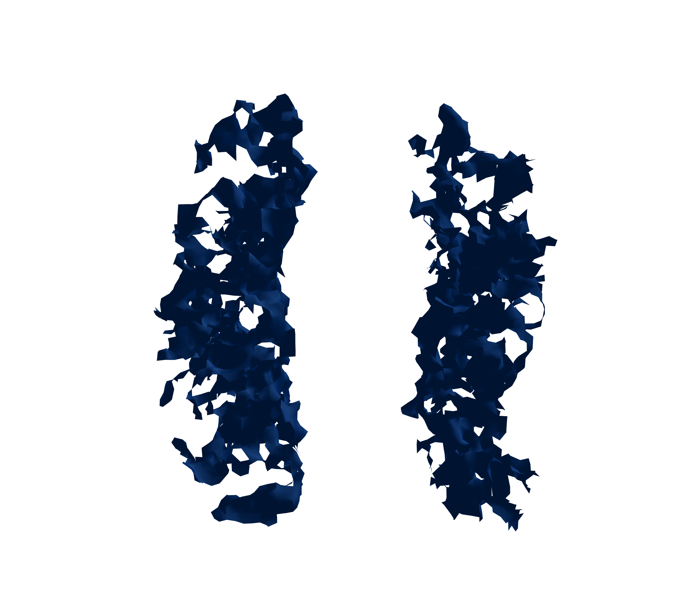 Surface Mesh (Inspiration) - Front View