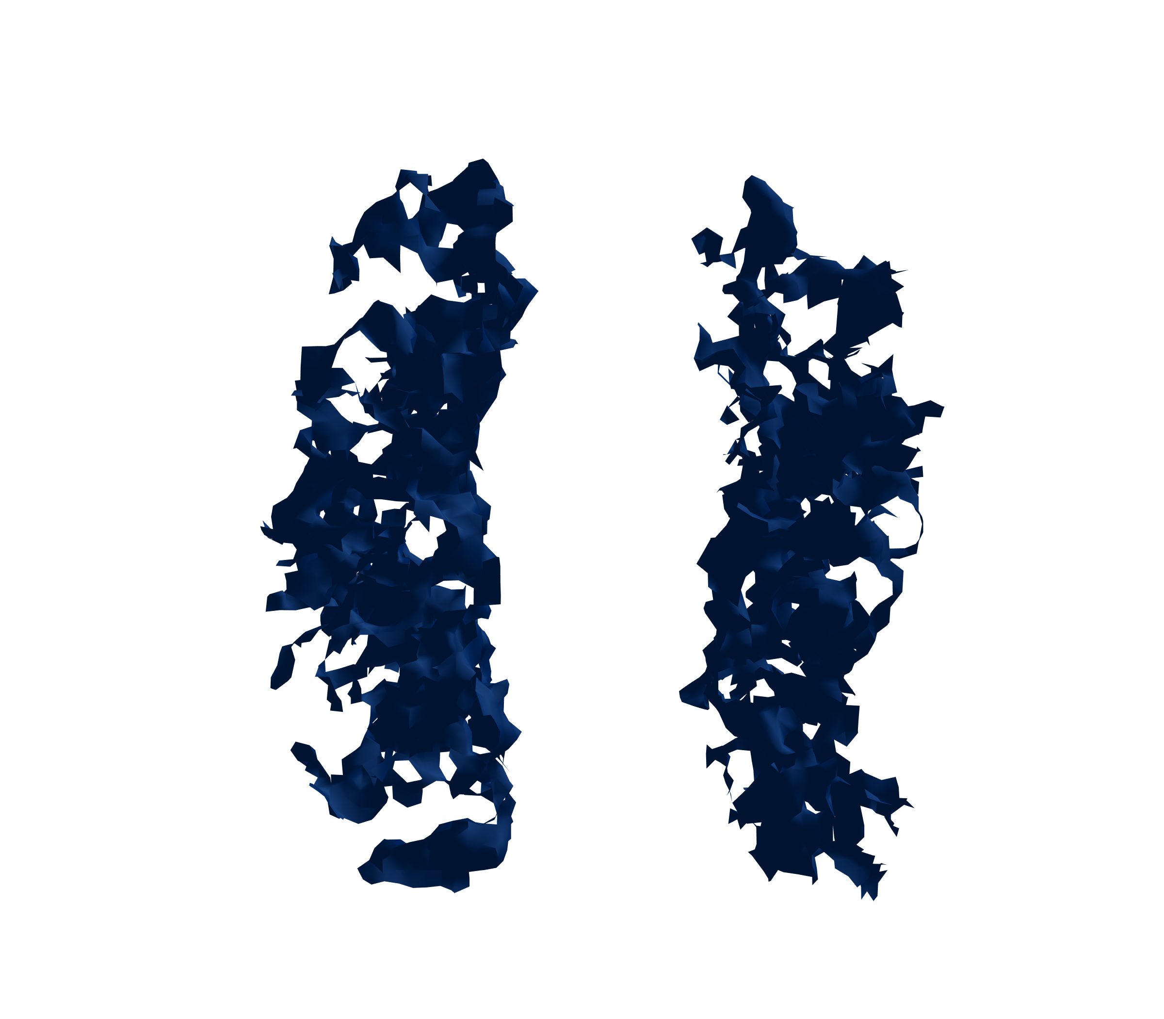 Surface Mesh (Inspiration) - Front View