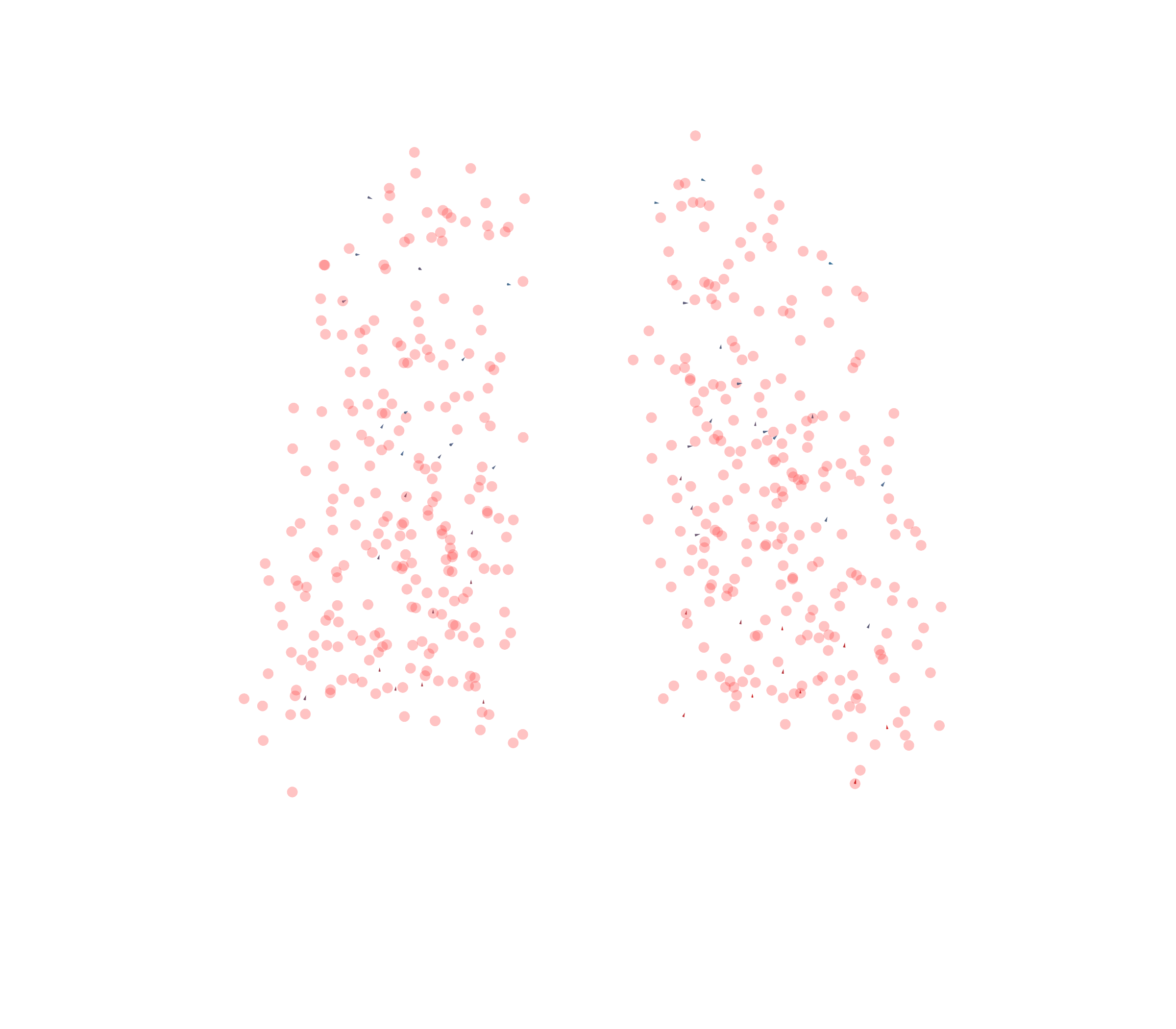 Displacement Vectors - Back View