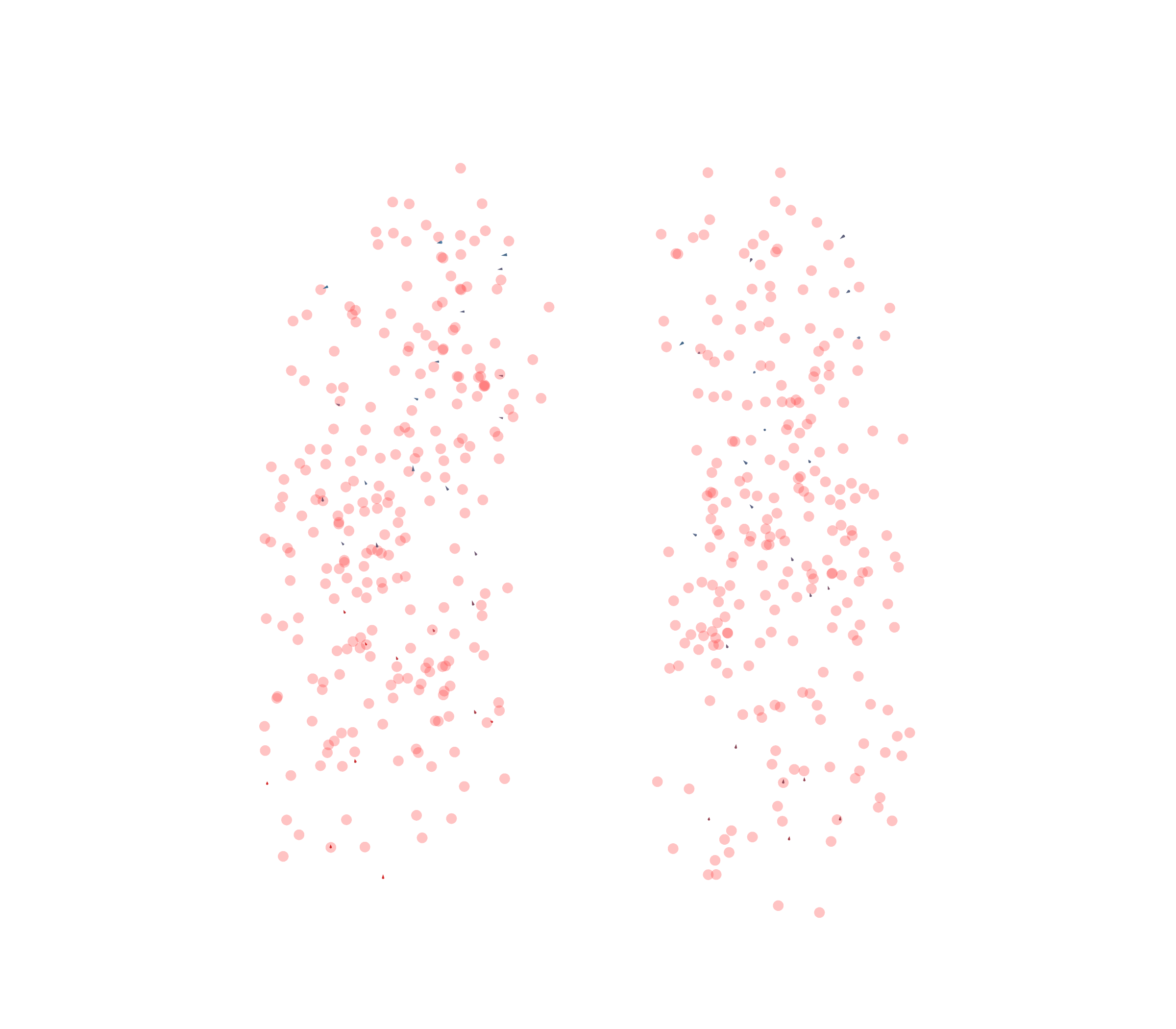 Displacement Vectors - Front View