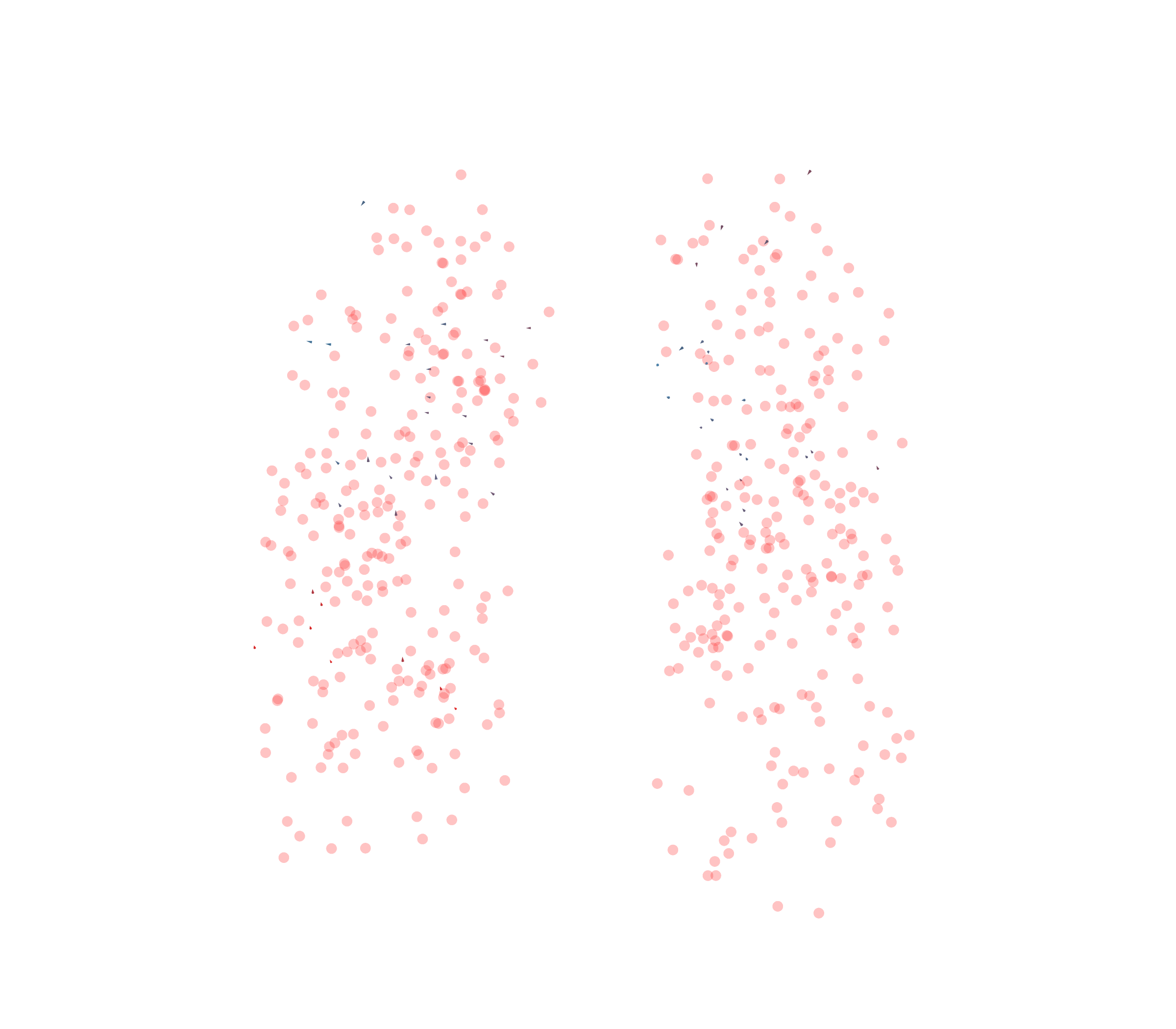 Displacement Vectors - Front View