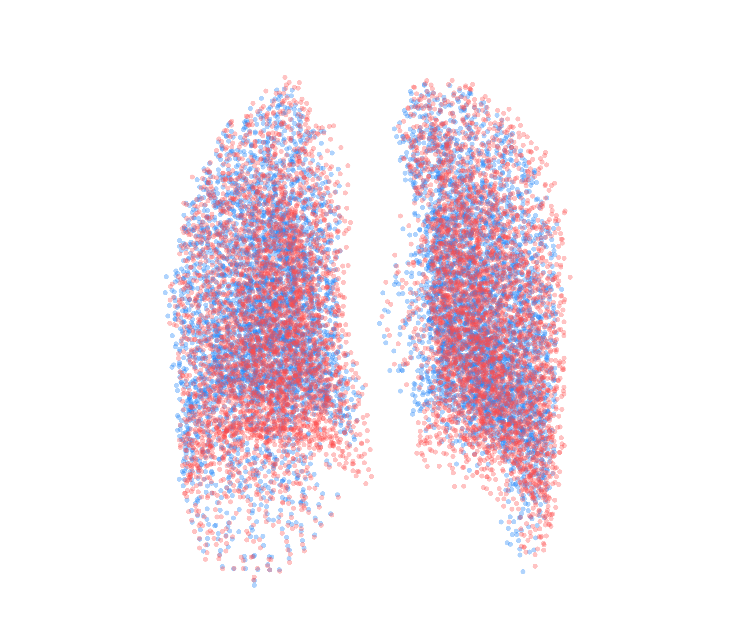 Point Cloud - Back View