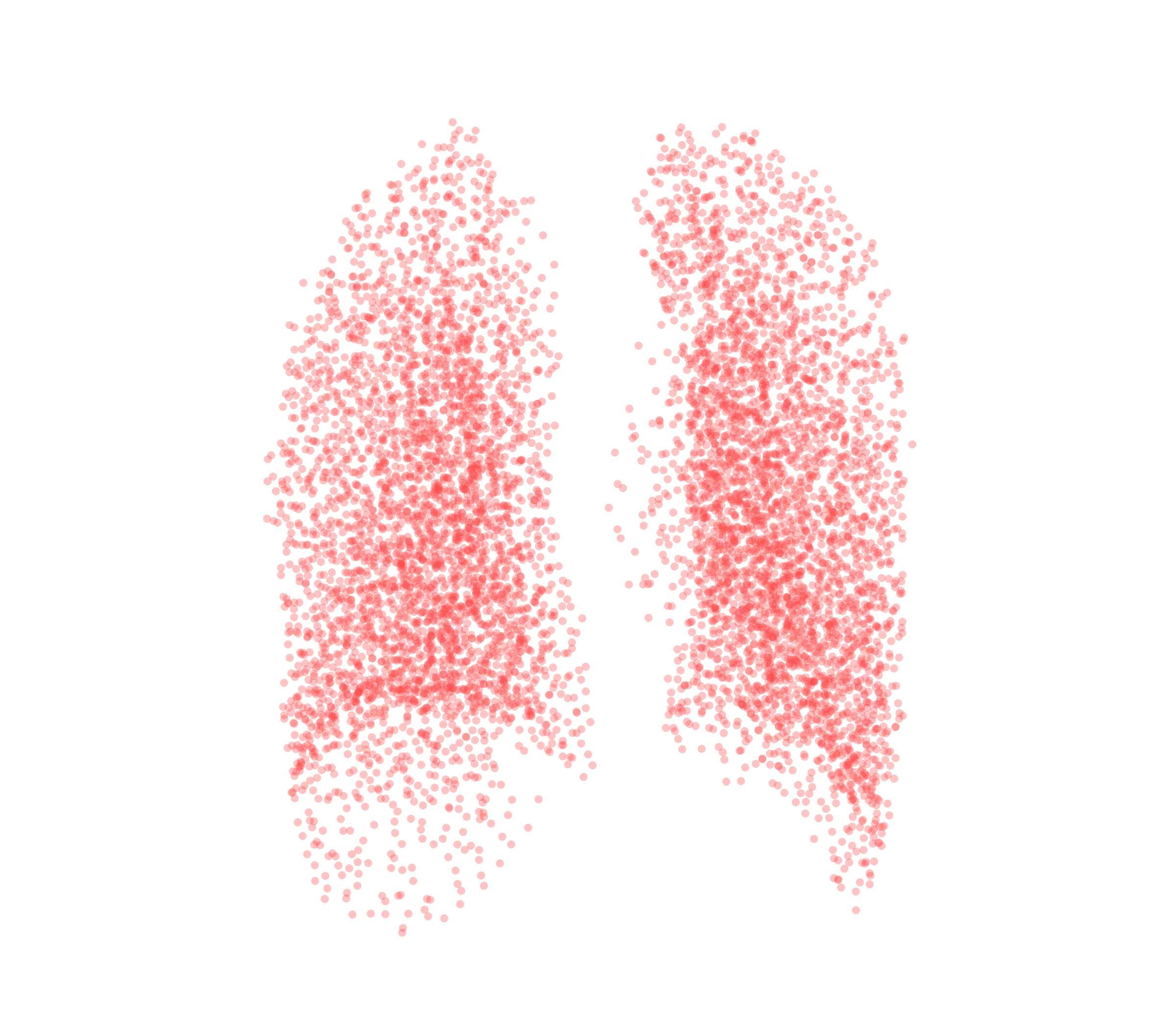 Point Cloud (Expiration) - Back View
