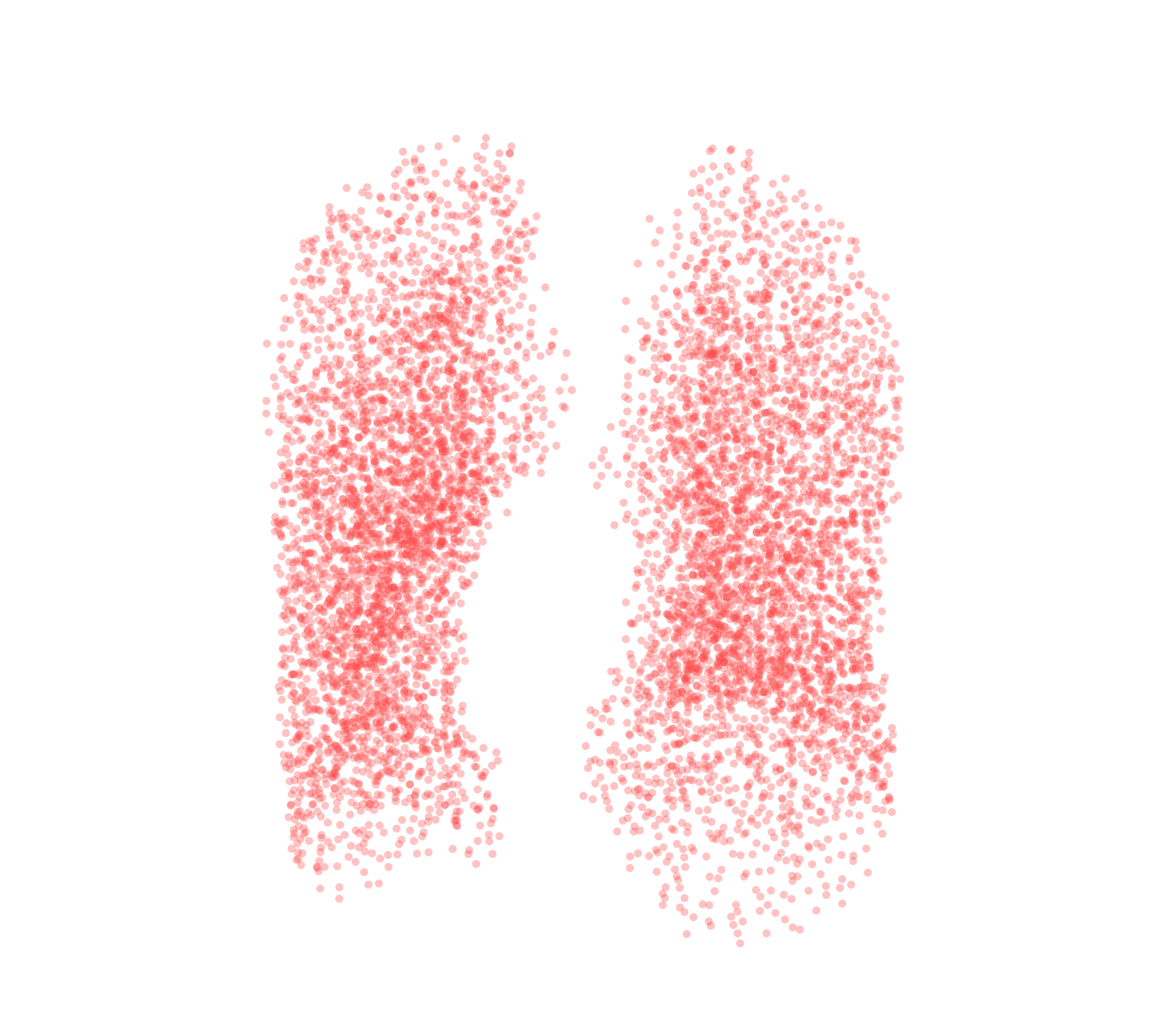Point Cloud (Expiration) - Front View