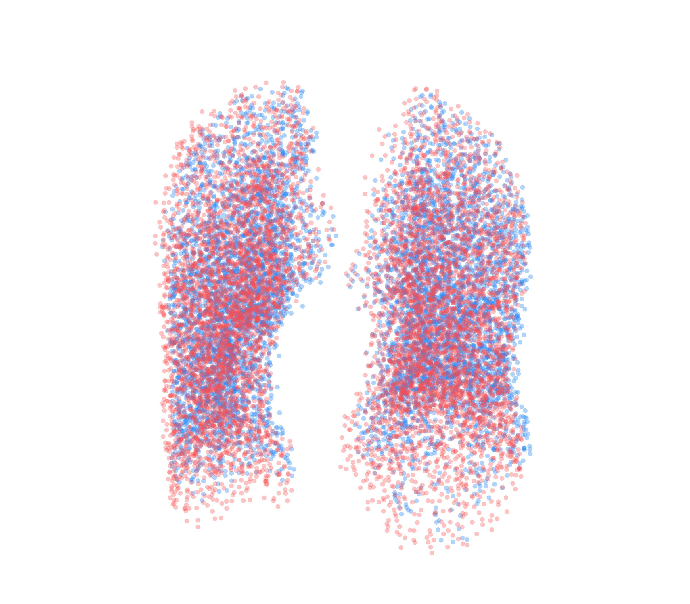 Point Cloud - Front View