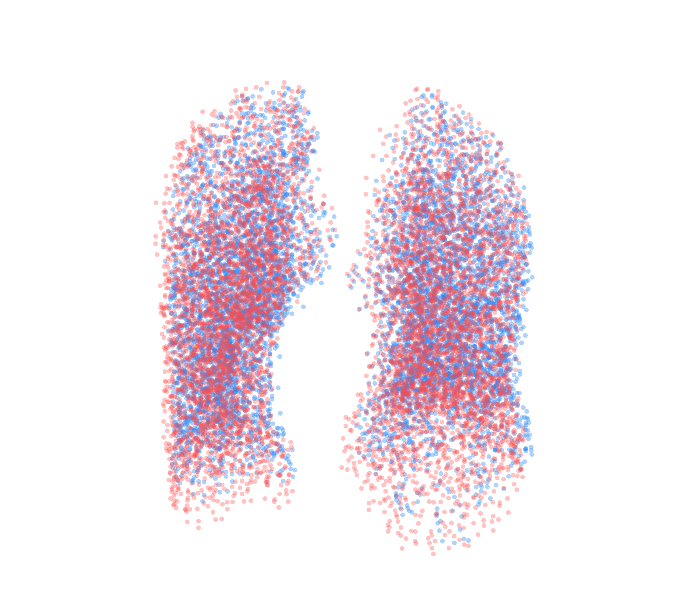 Point Cloud - Front View