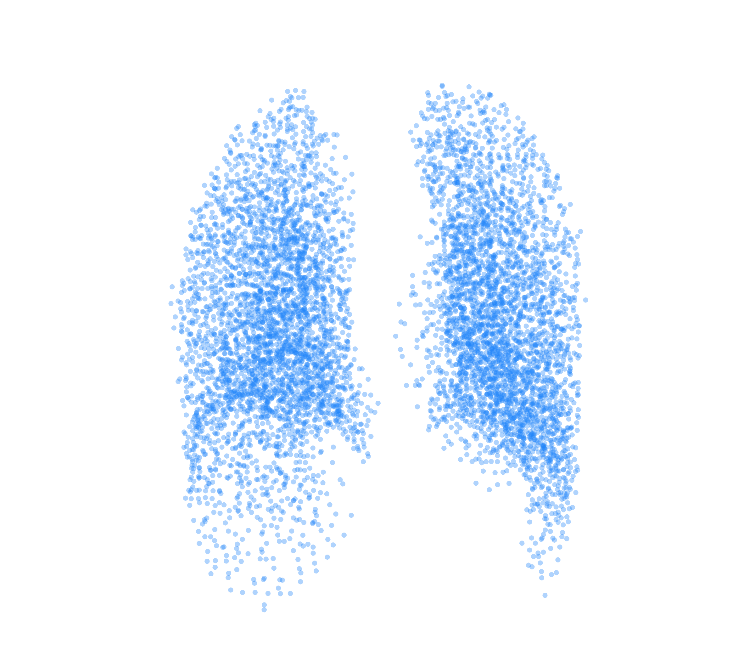 Point Cloud (Inspiration) - Back View