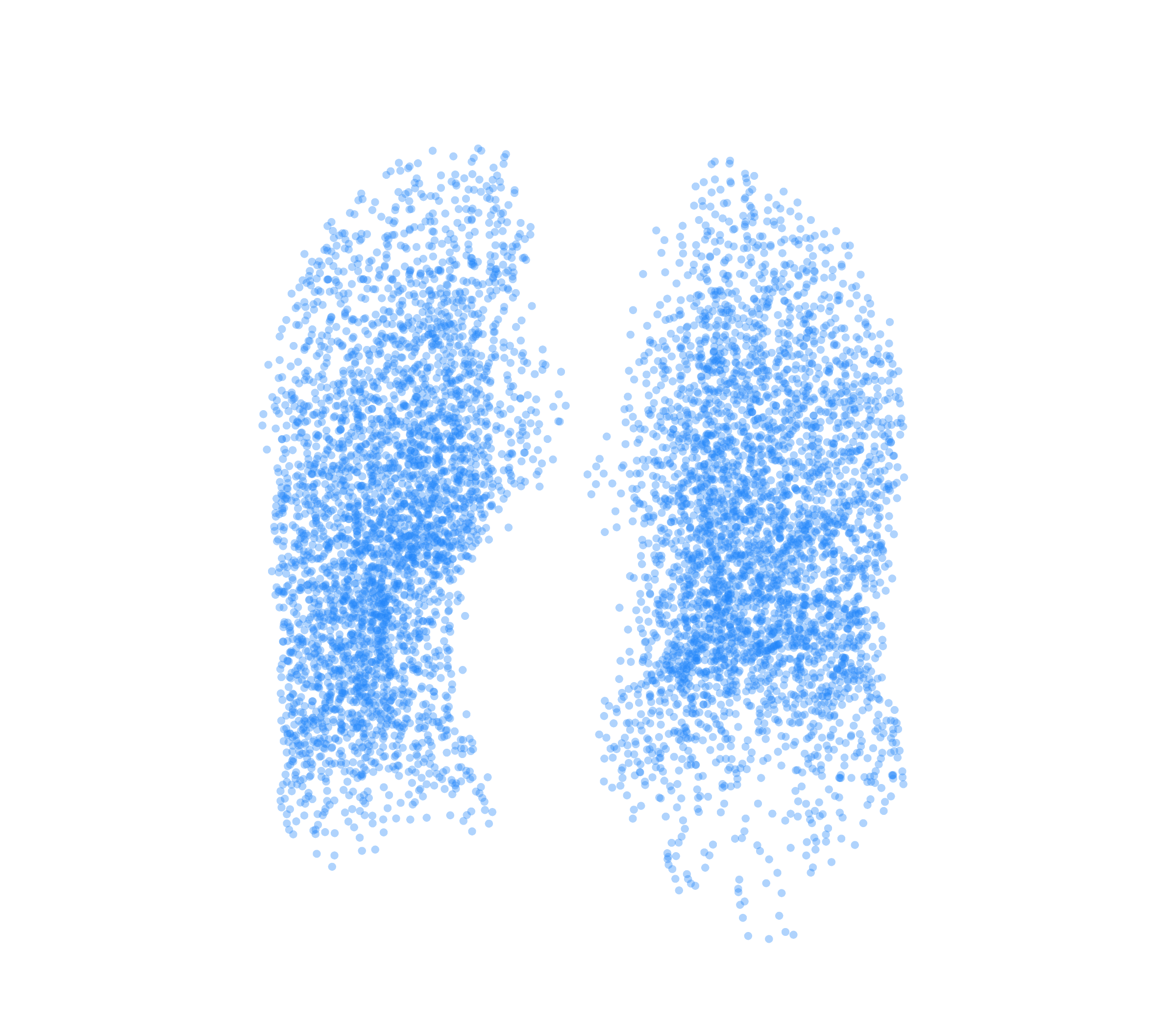 Point Cloud (Inspiration) - Front View