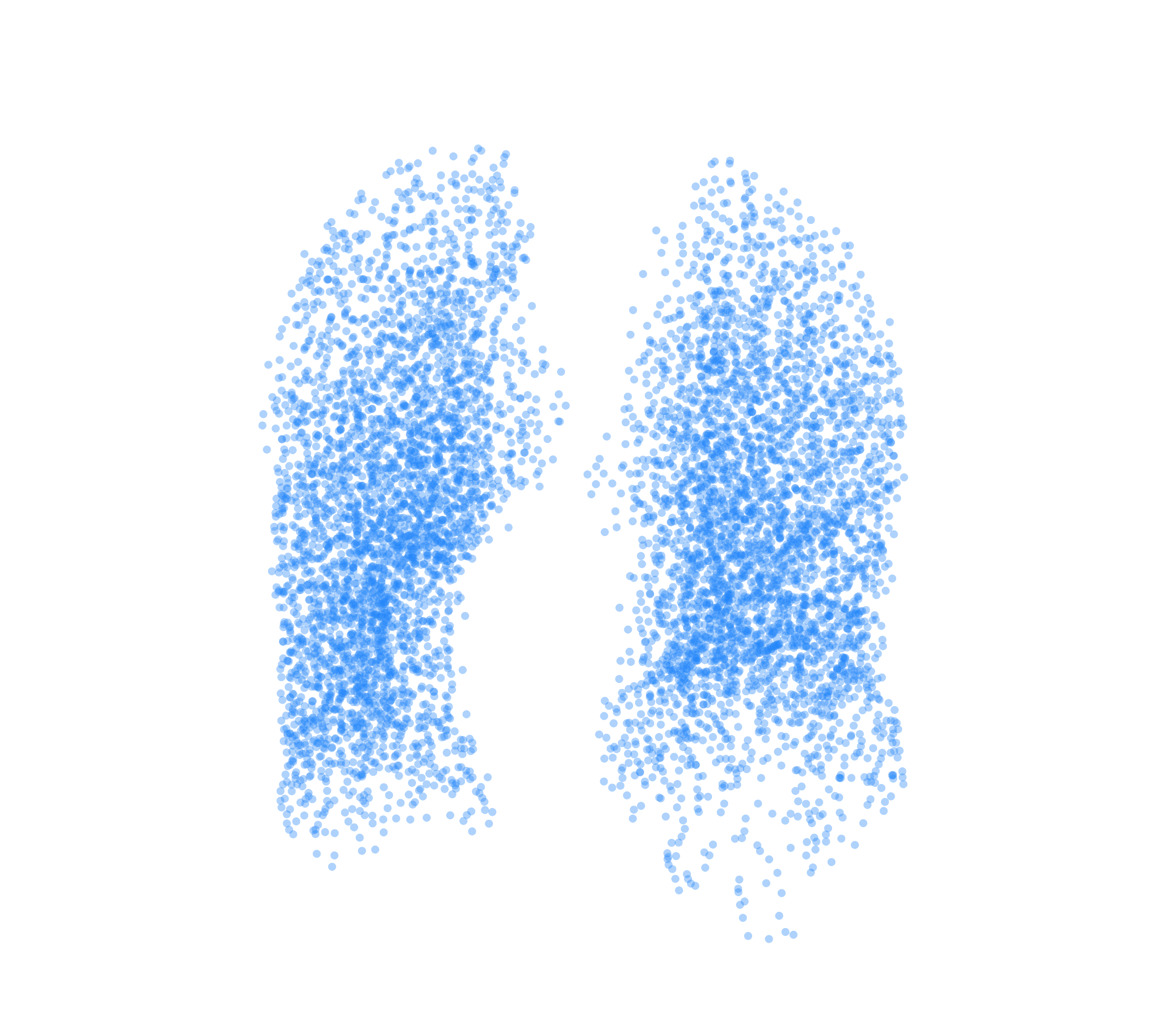 Point Cloud (Inspiration) - Front View