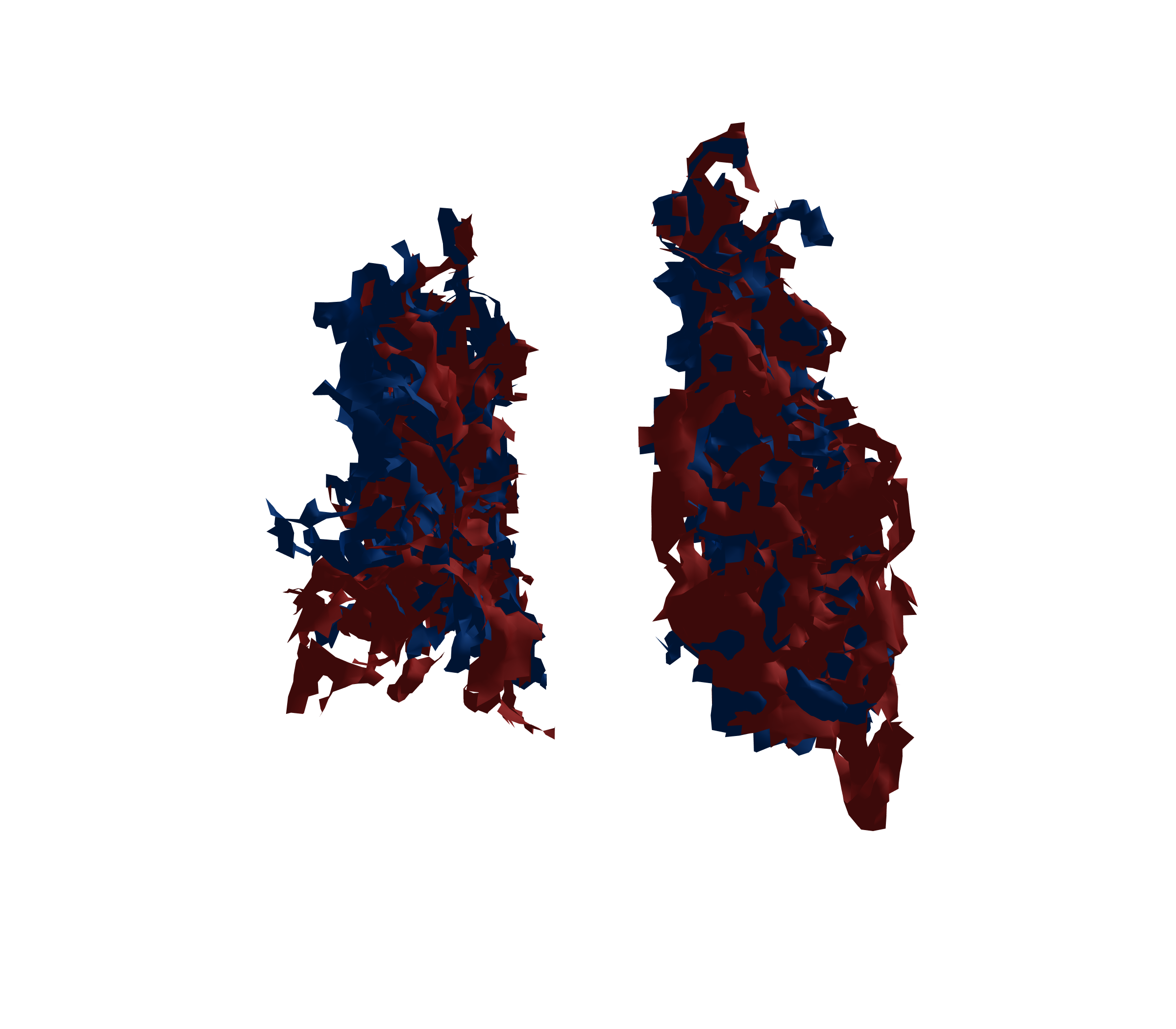 Surface Mesh - Back View