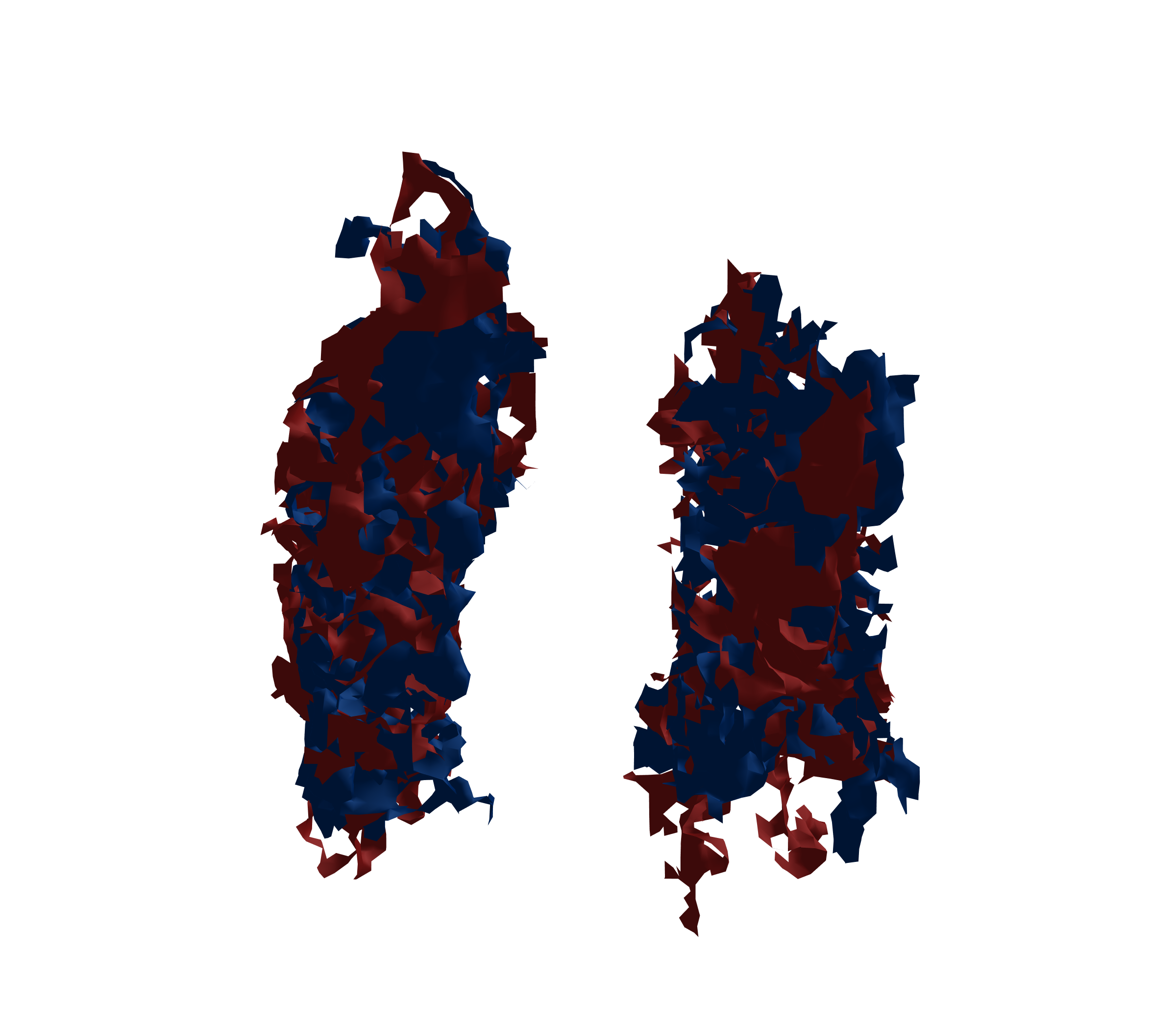 Surface Mesh - Front View