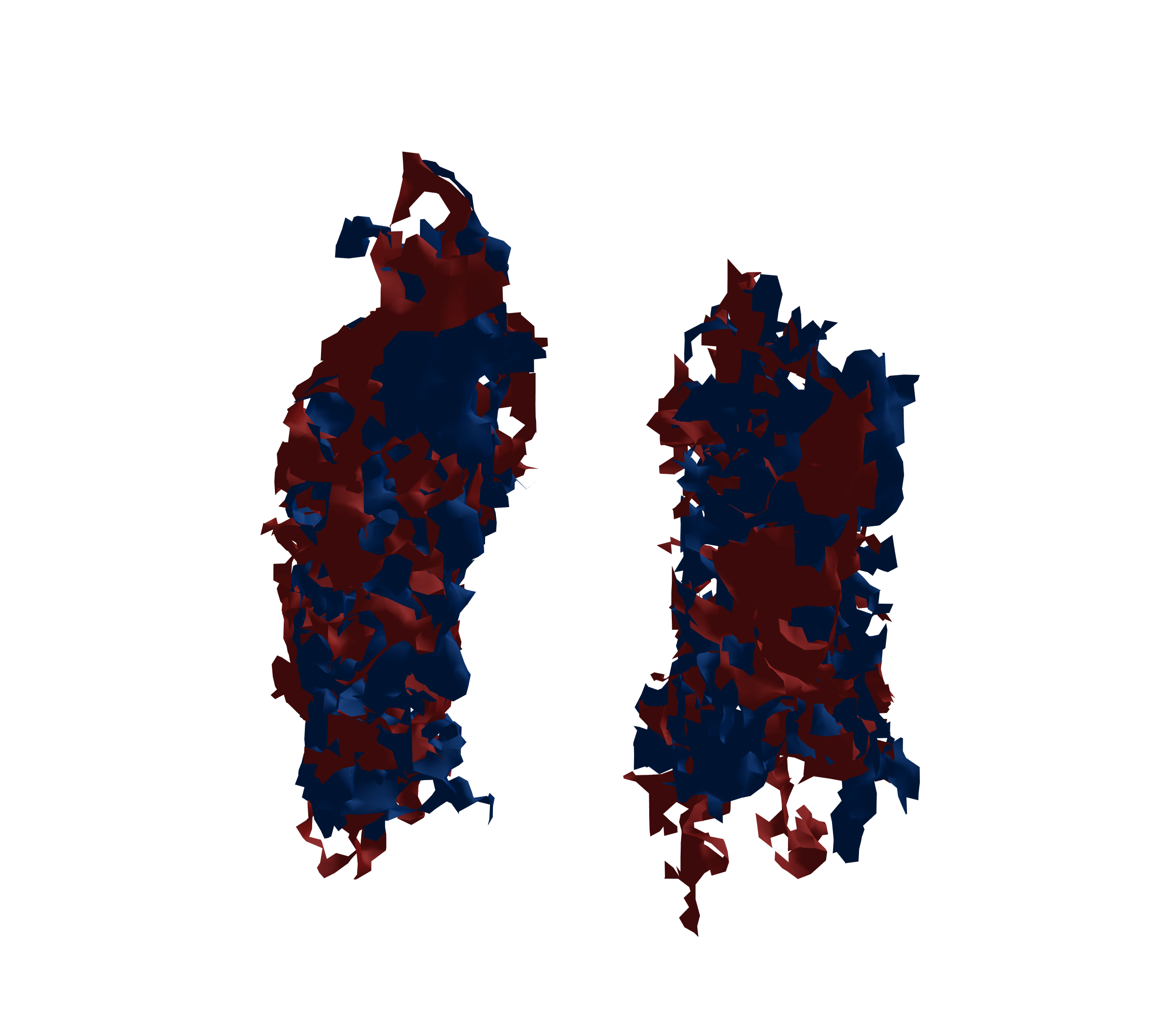 Surface Mesh - Front View