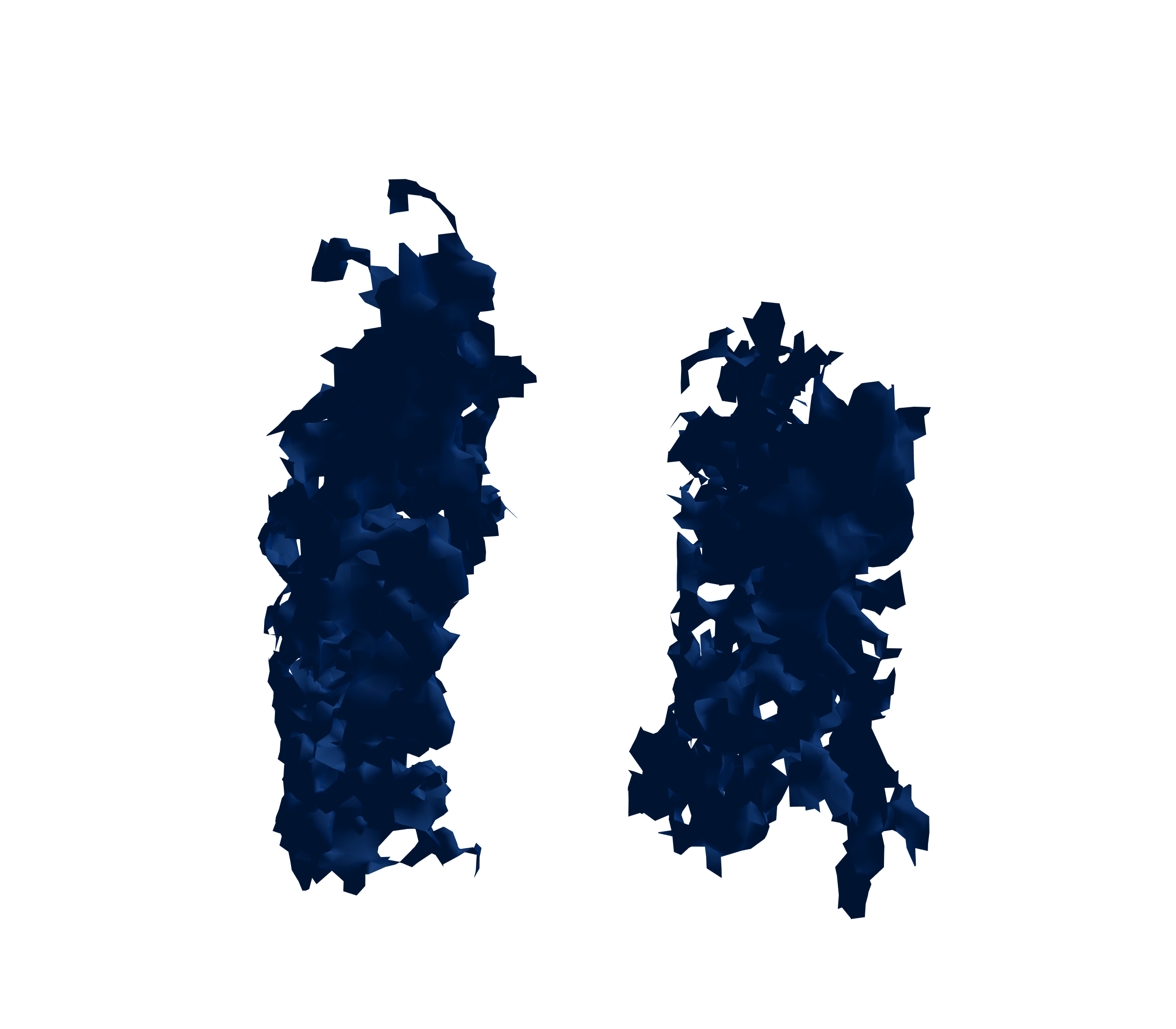 Surface Mesh (Inspiration) - Front View