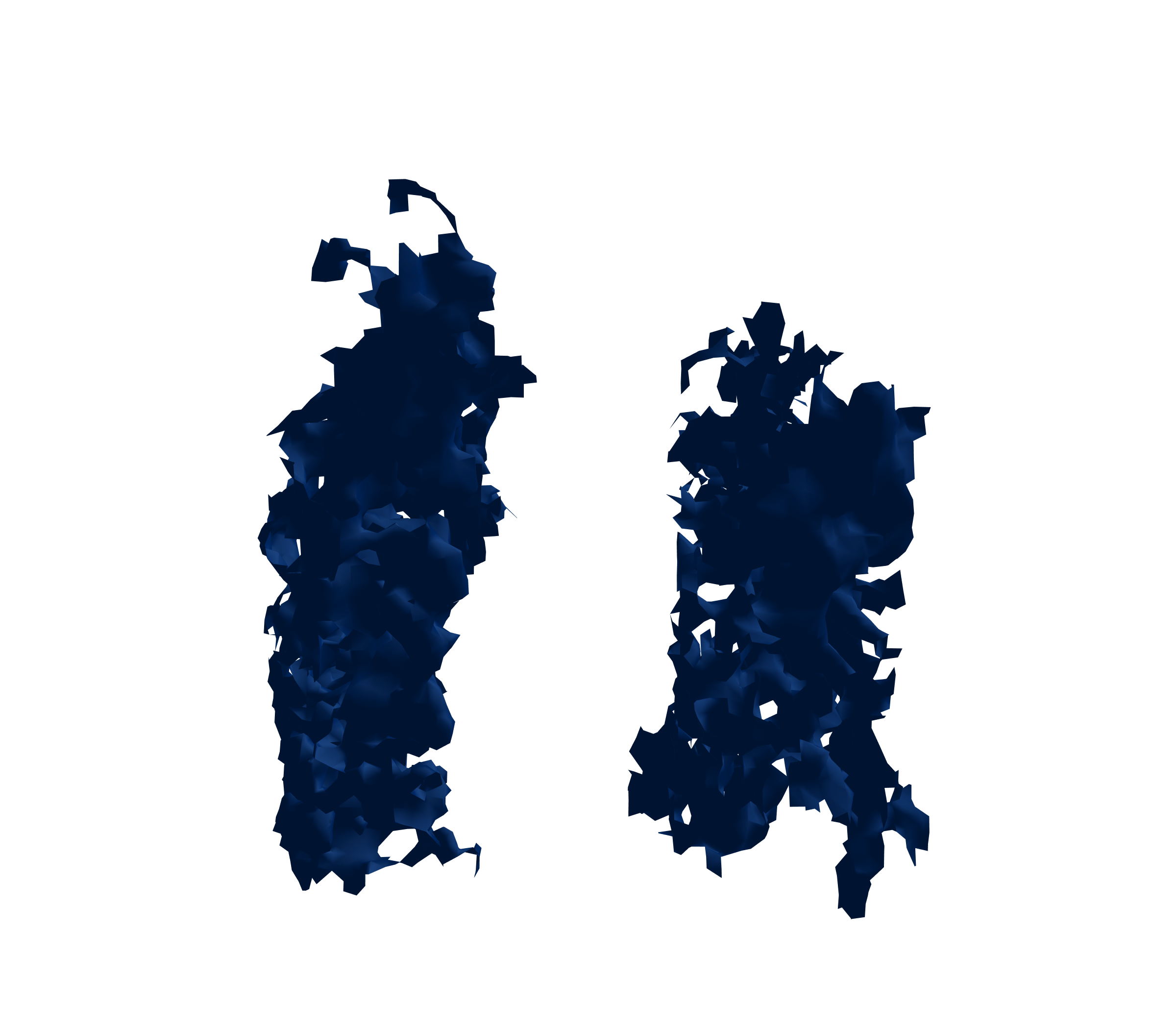 Surface Mesh (Inspiration) - Front View