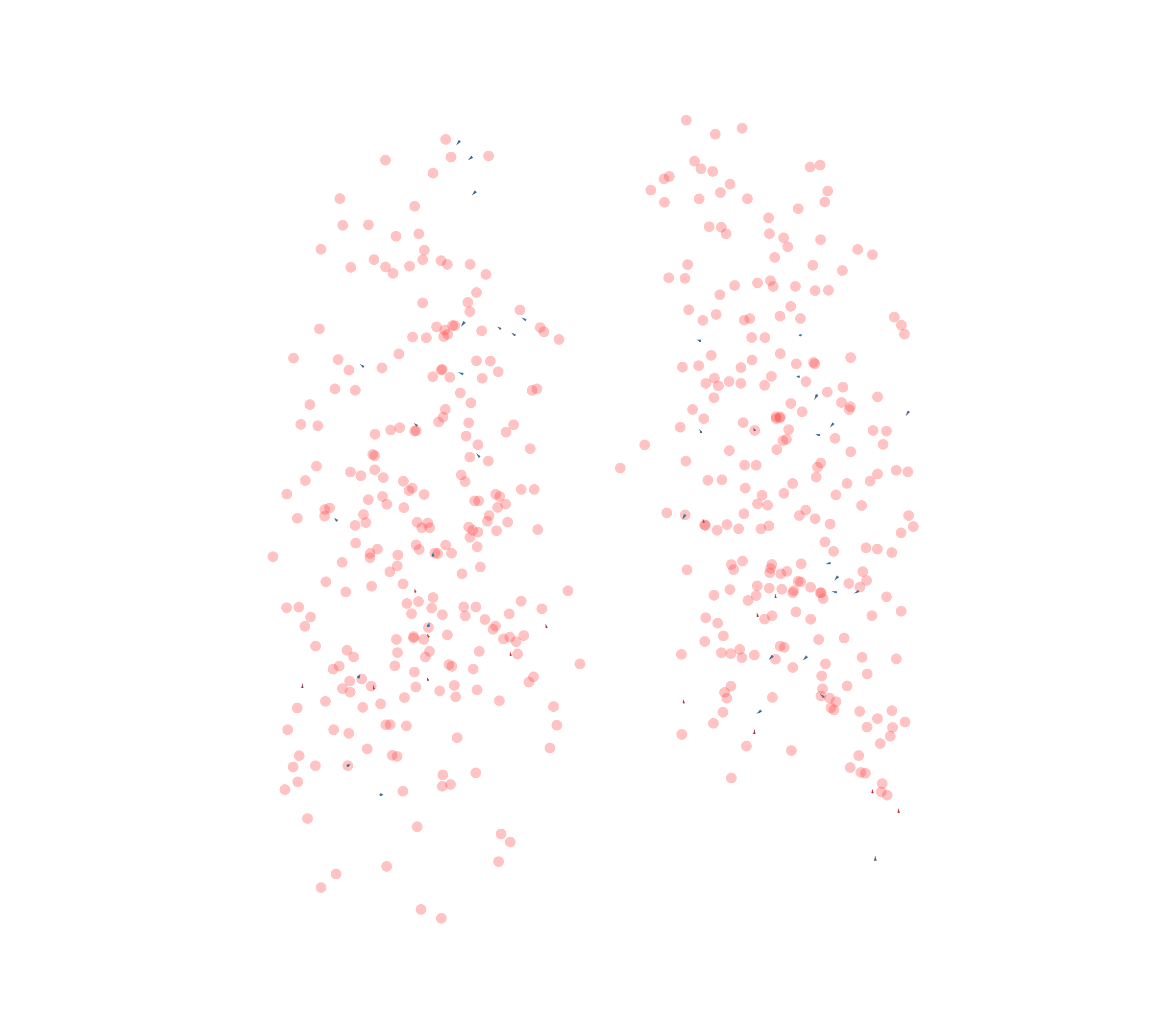 Displacement Vectors - Back View