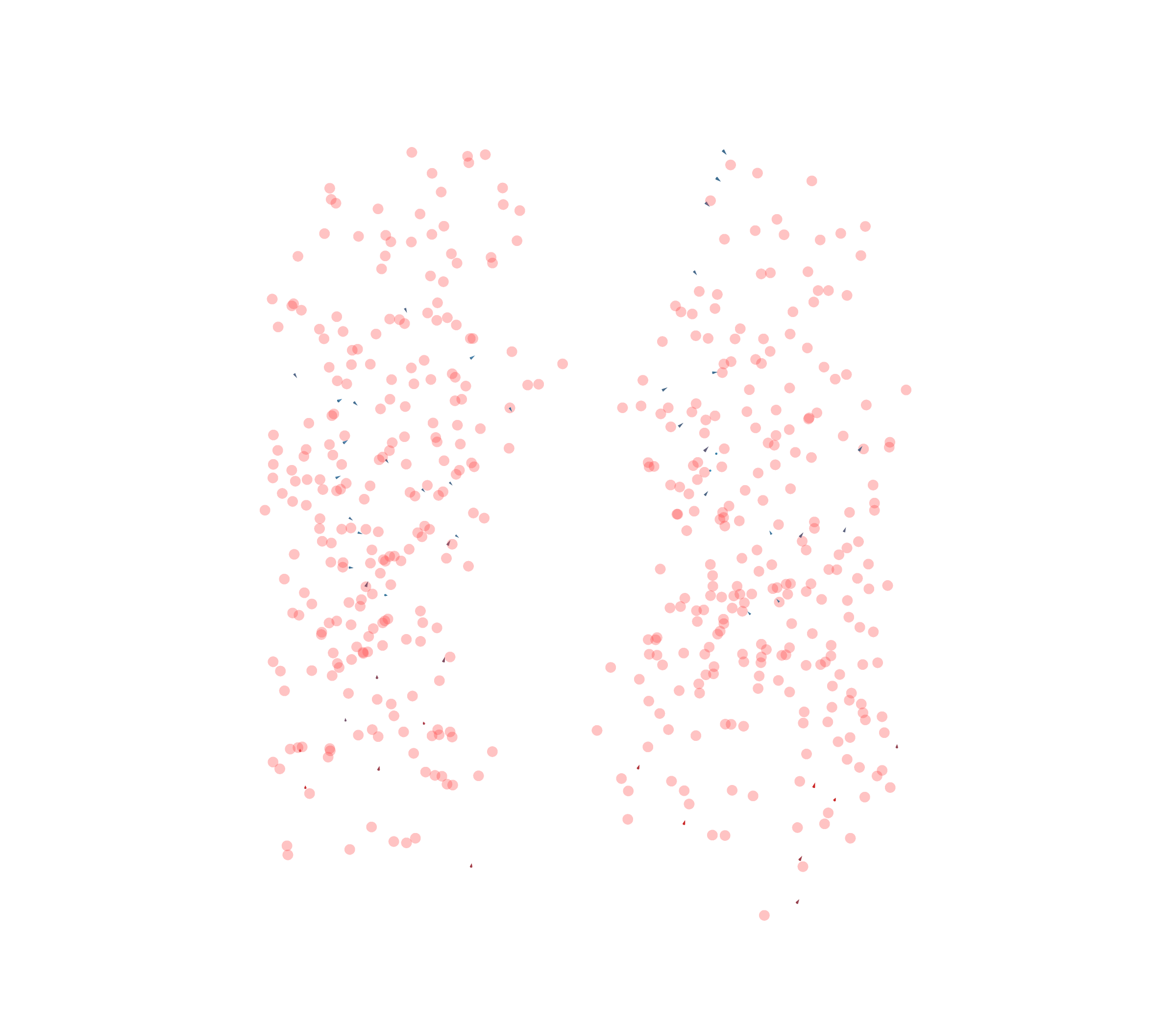 Displacement Vectors - Front View