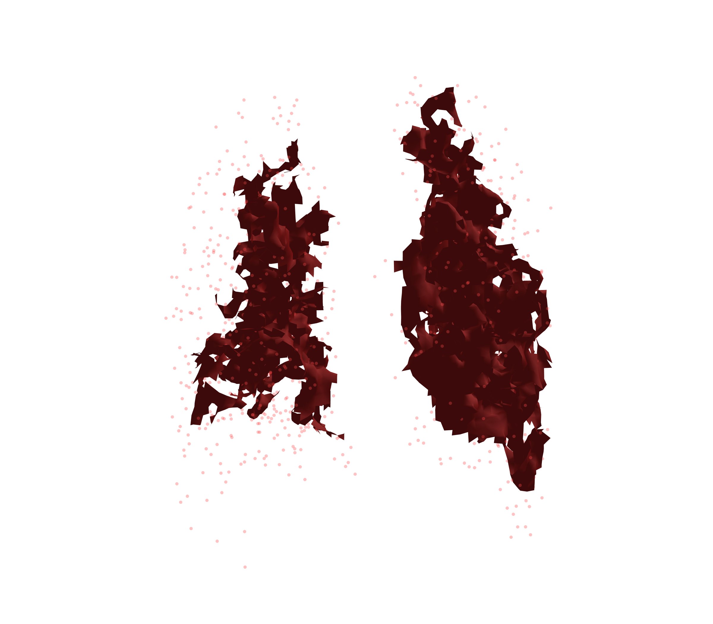 Combined Visualization (Expiration) - Back View