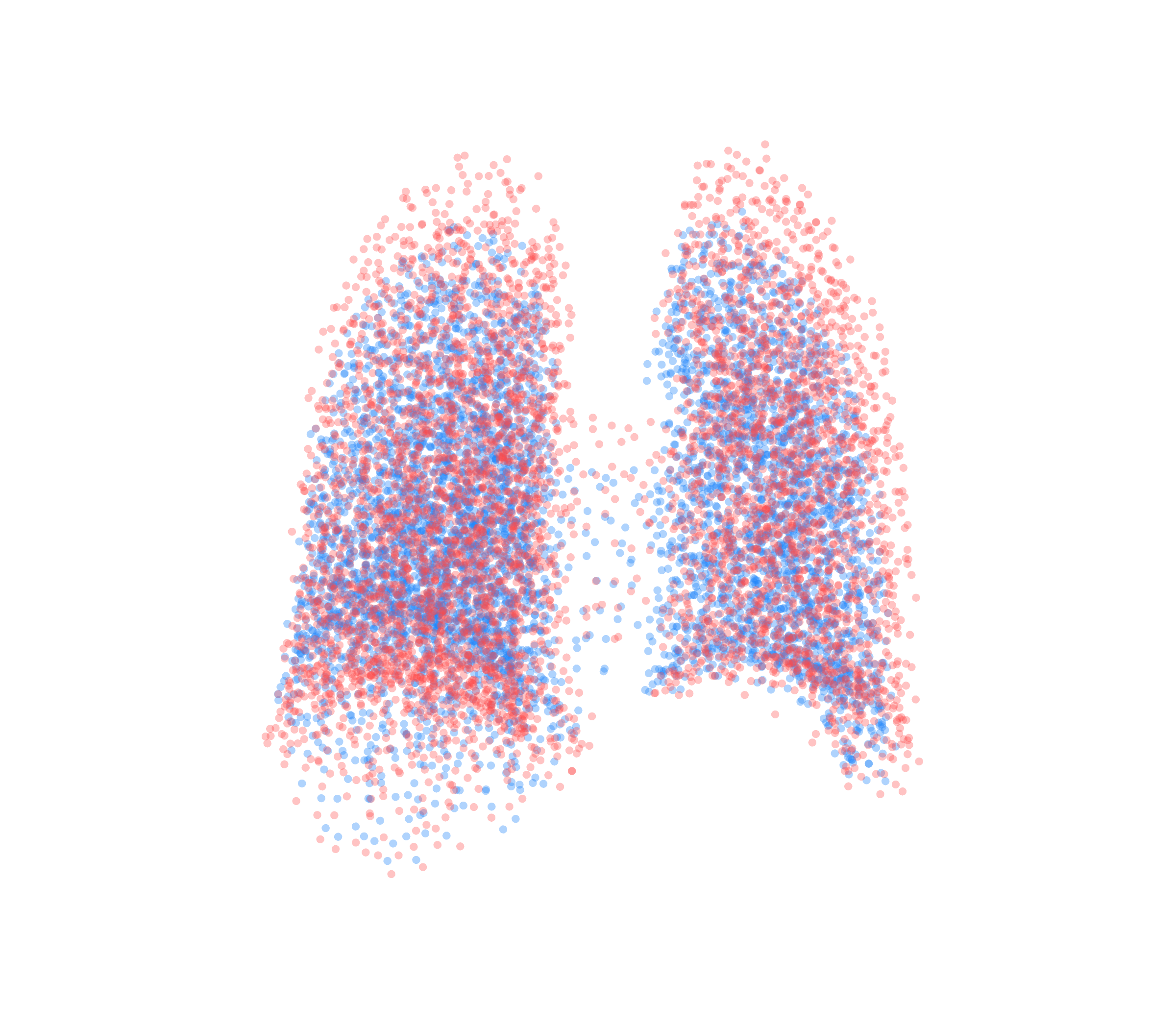 Point Cloud - Back View
