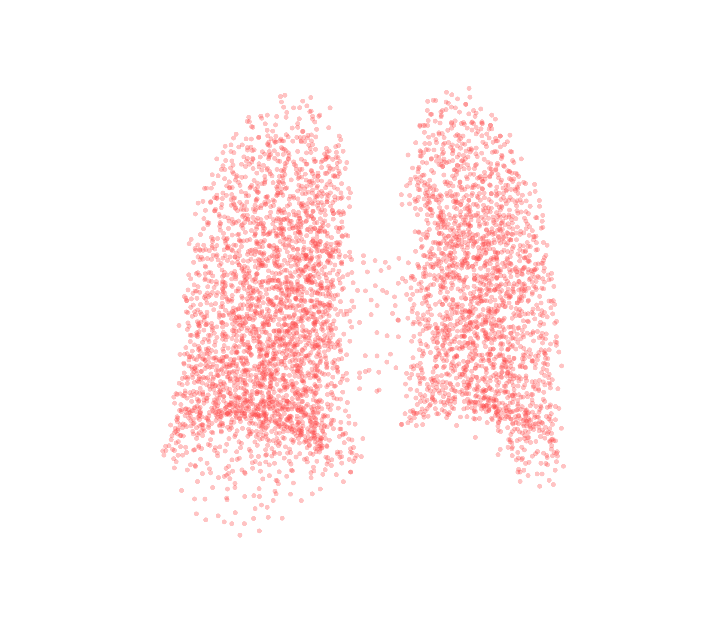 Point Cloud (Expiration) - Back View