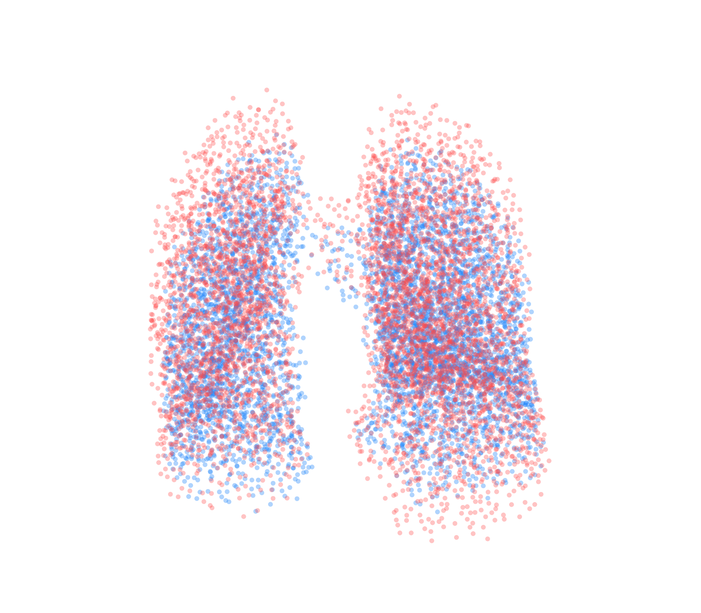 Point Cloud - Front View