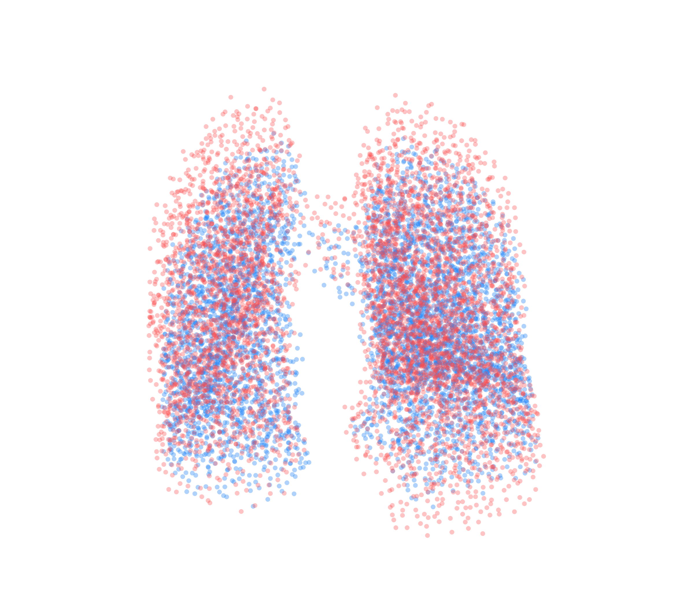 Point Cloud - Front View
