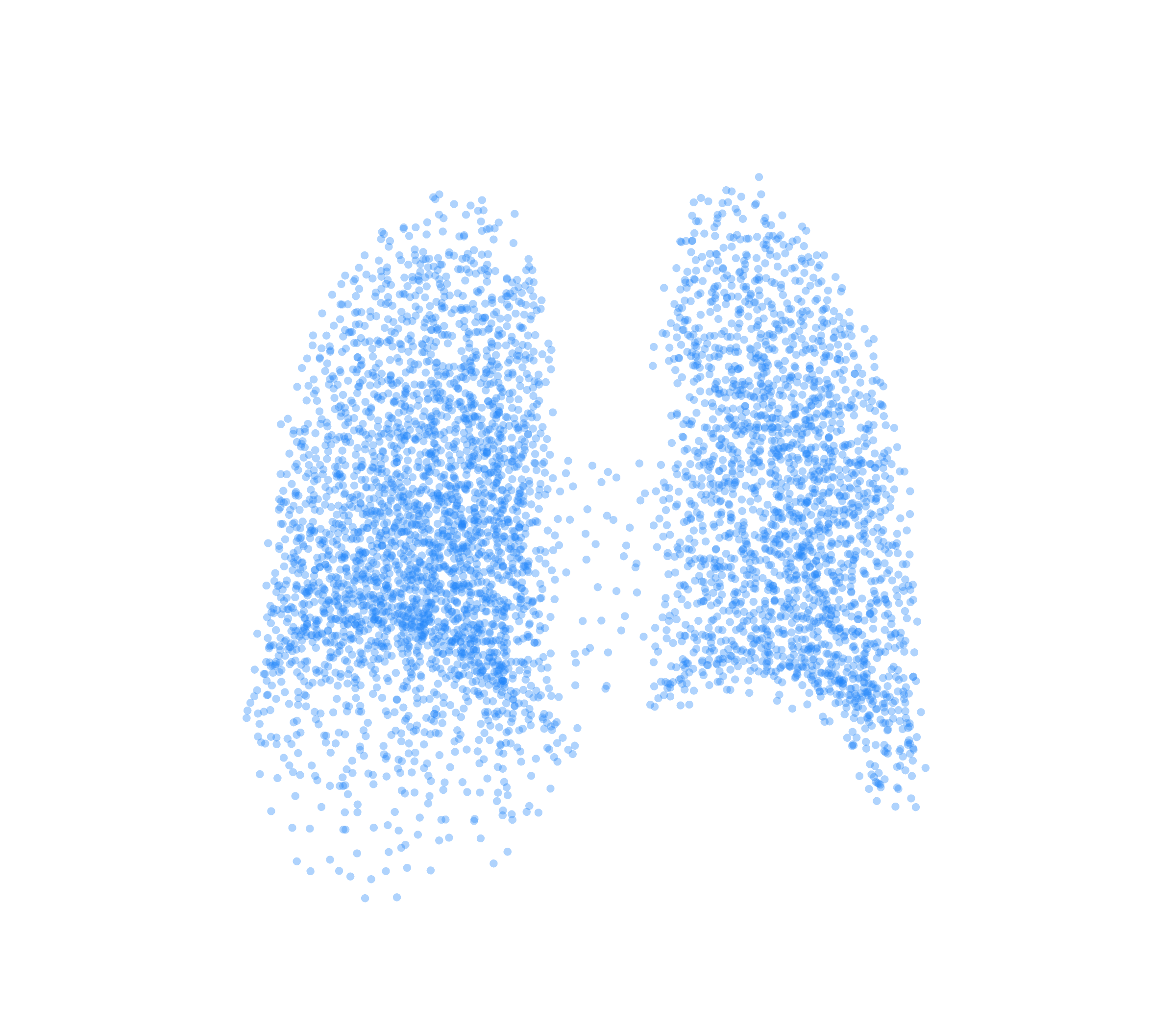 Point Cloud (Inspiration) - Back View