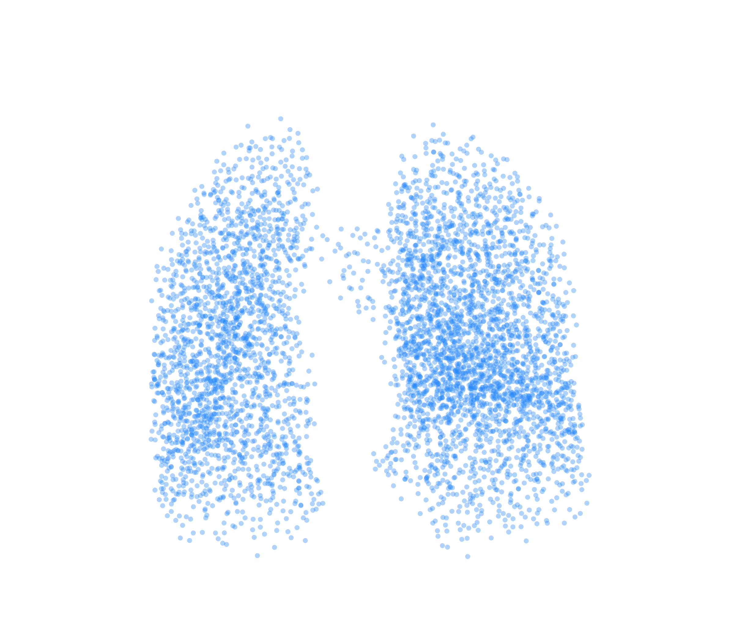 Point Cloud (Inspiration) - Front View