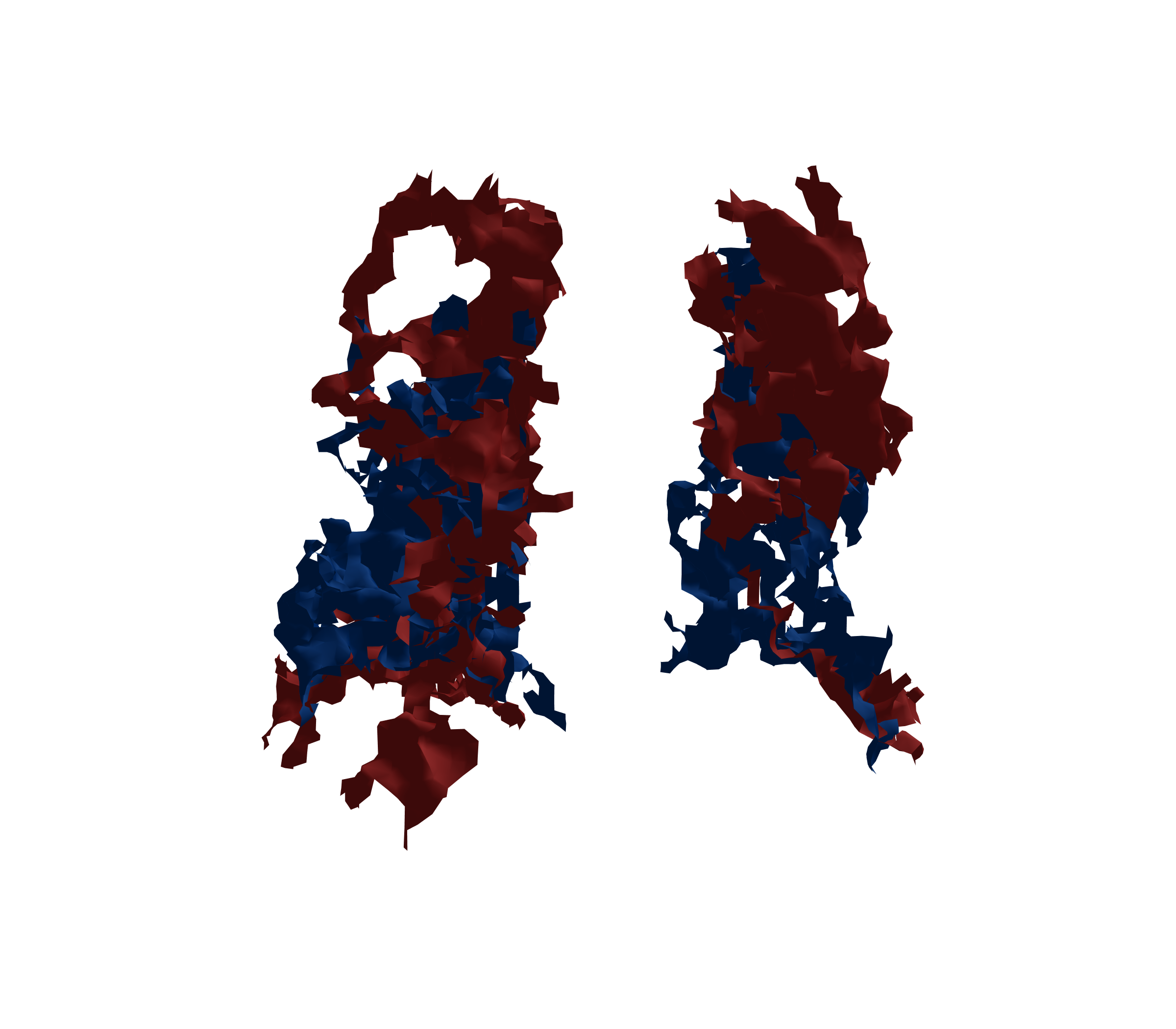 Surface Mesh - Back View