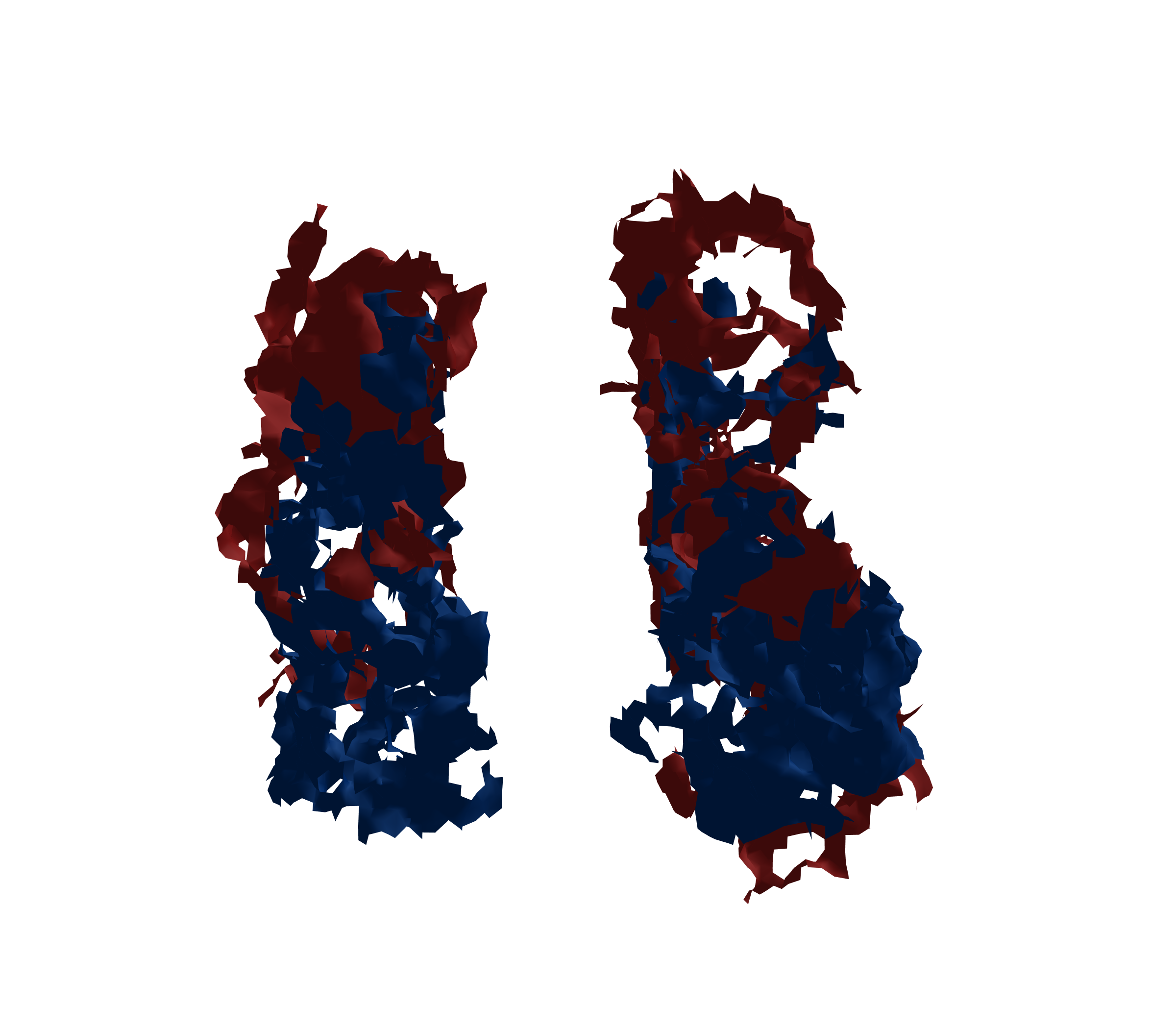 Surface Mesh - Front View