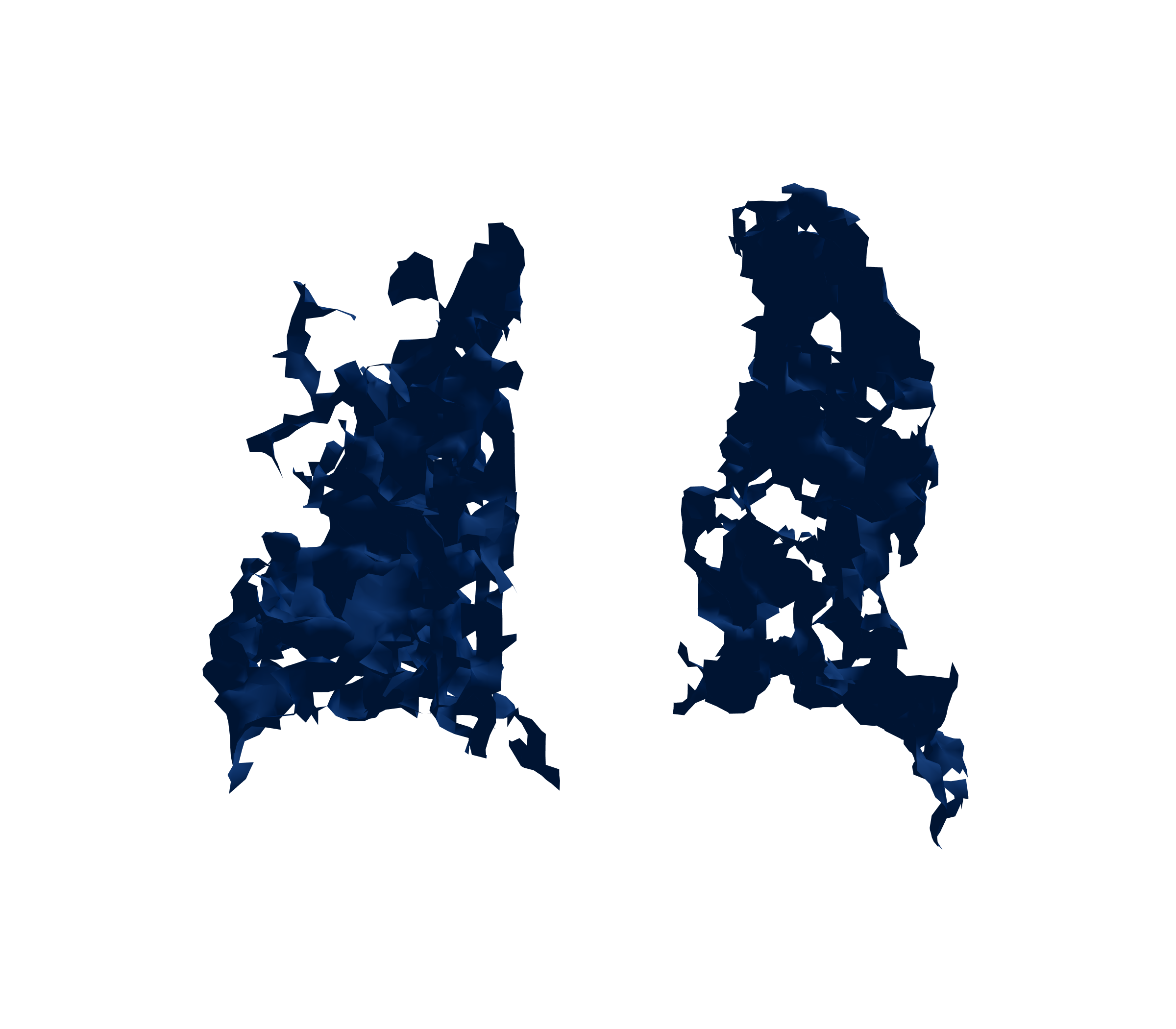 Surface Mesh (Inspiration) - Back View