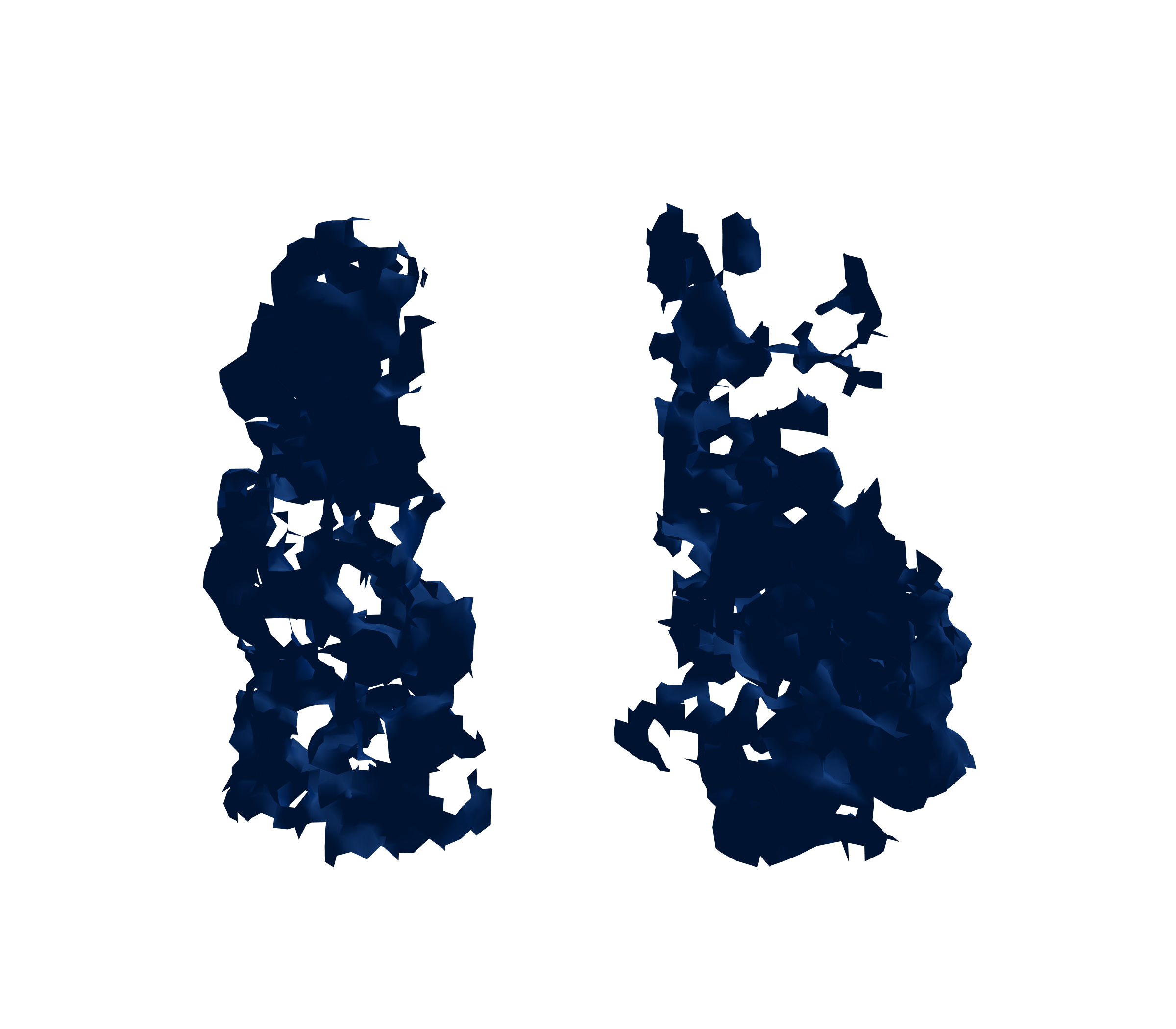 Surface Mesh (Inspiration) - Front View