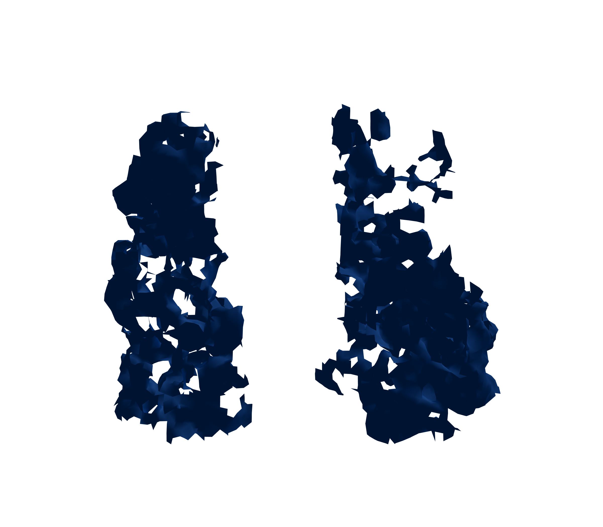 Surface Mesh (Inspiration) - Front View