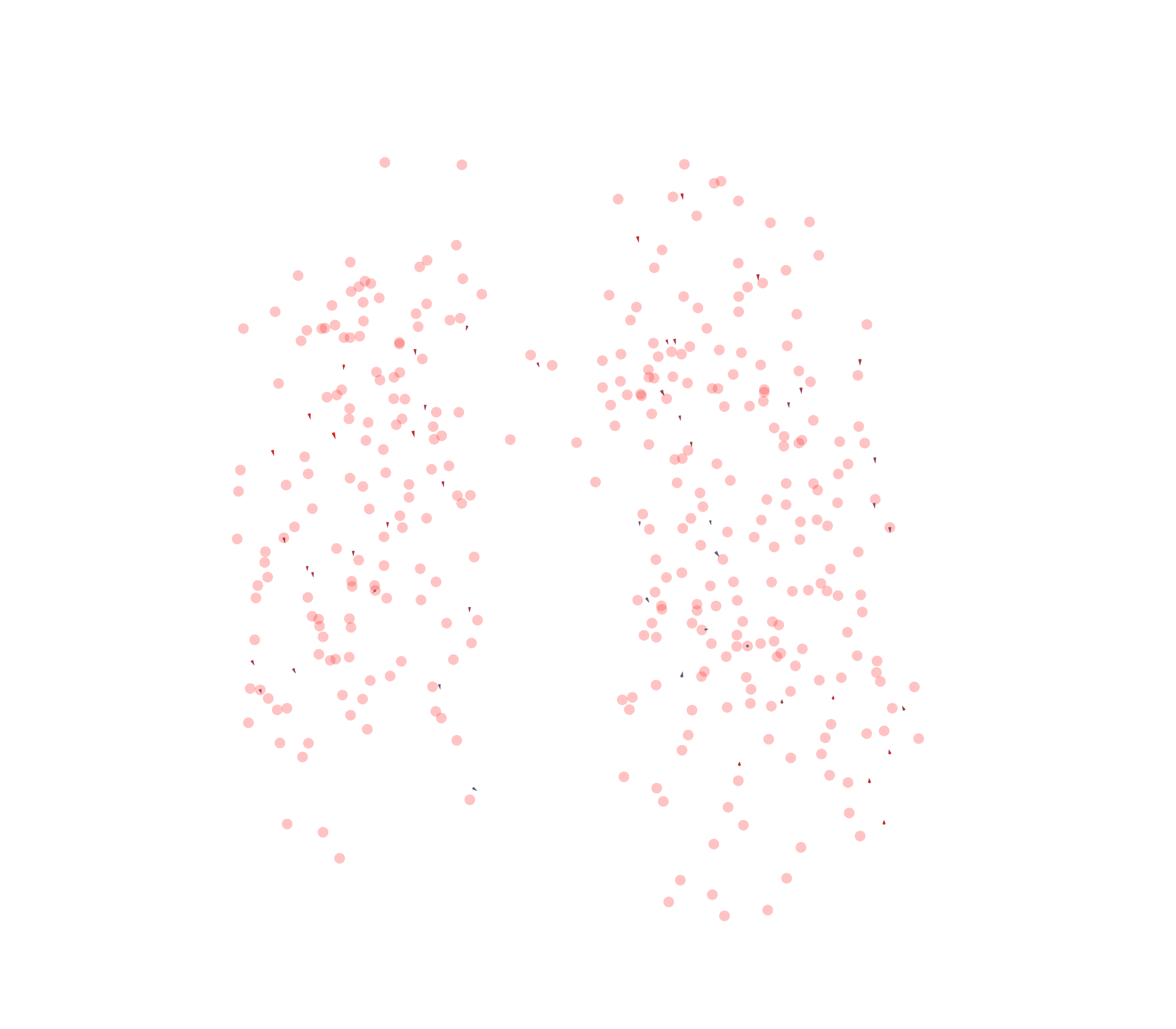 Displacement Vectors - Front View