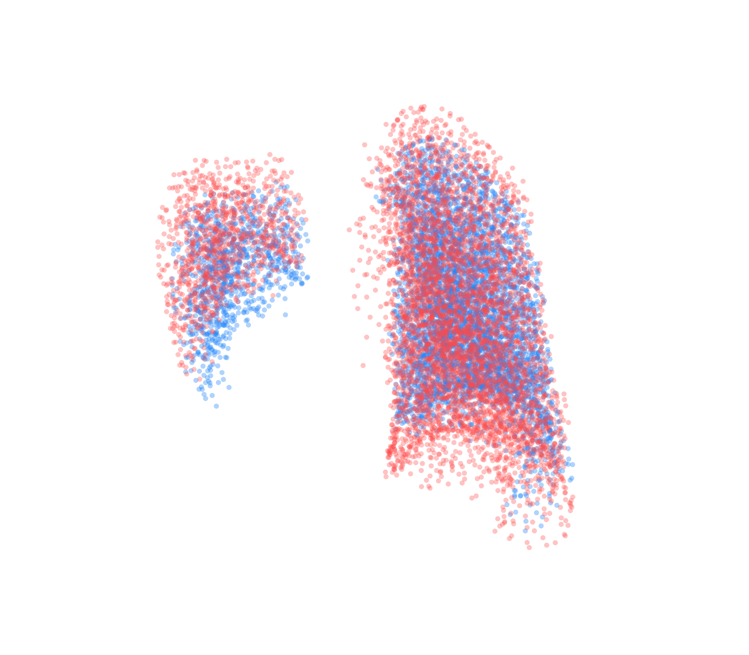 Point Cloud - Back View