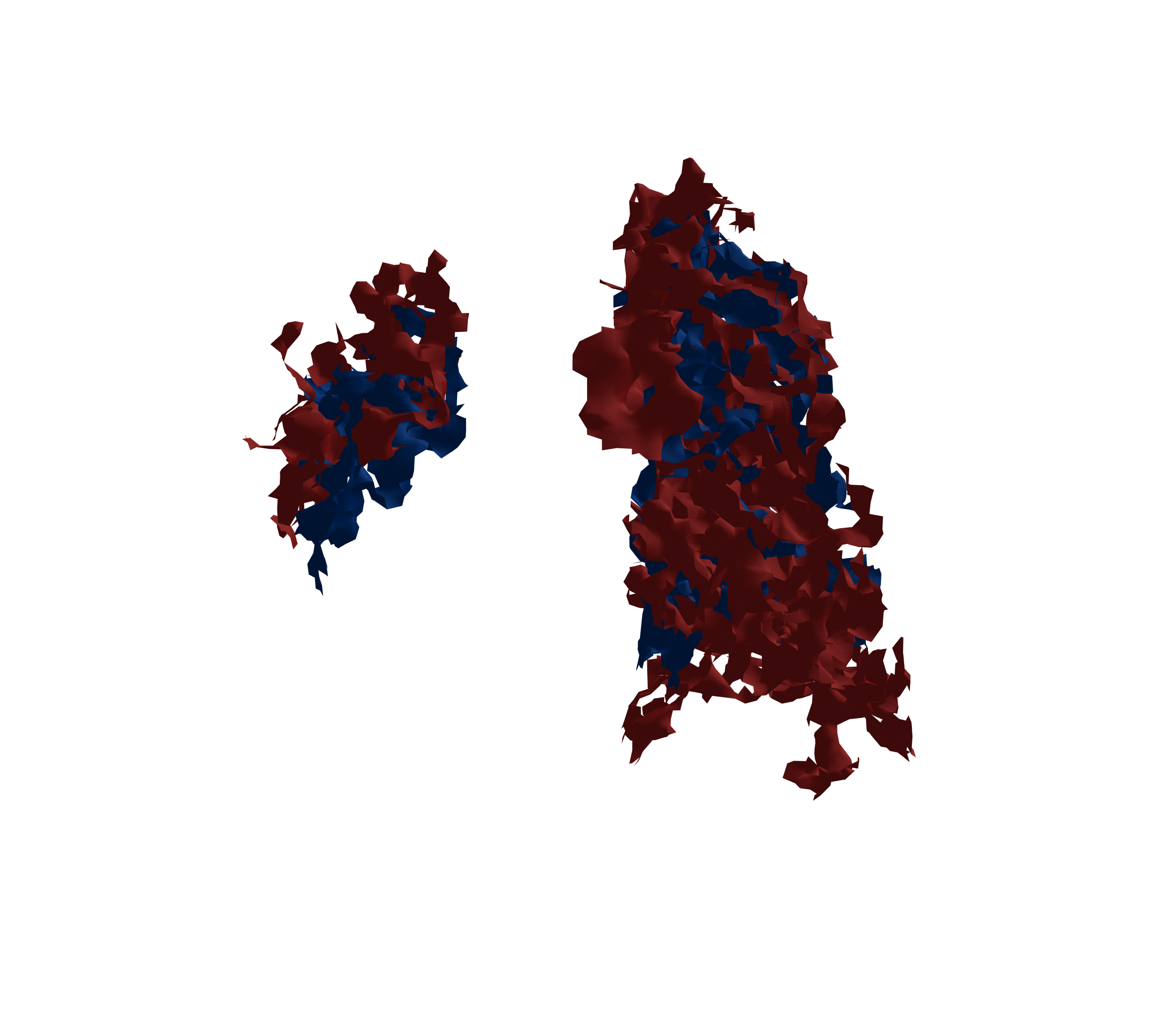 Surface Mesh - Back View