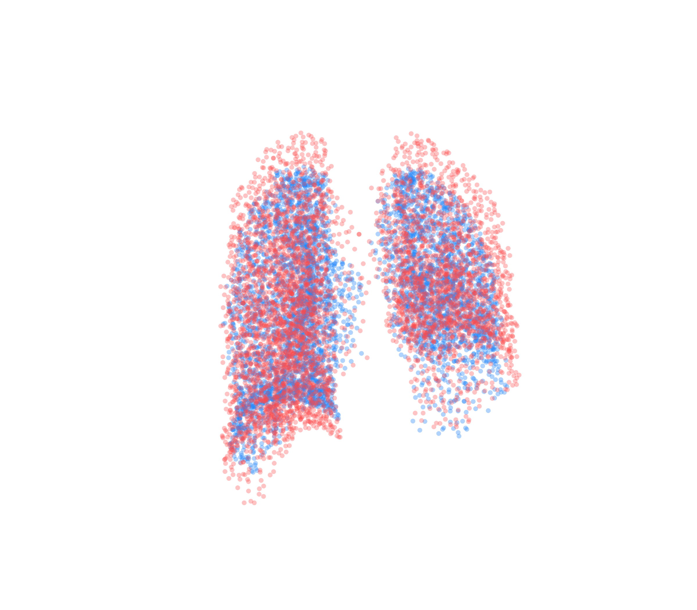 Point Cloud - Back View