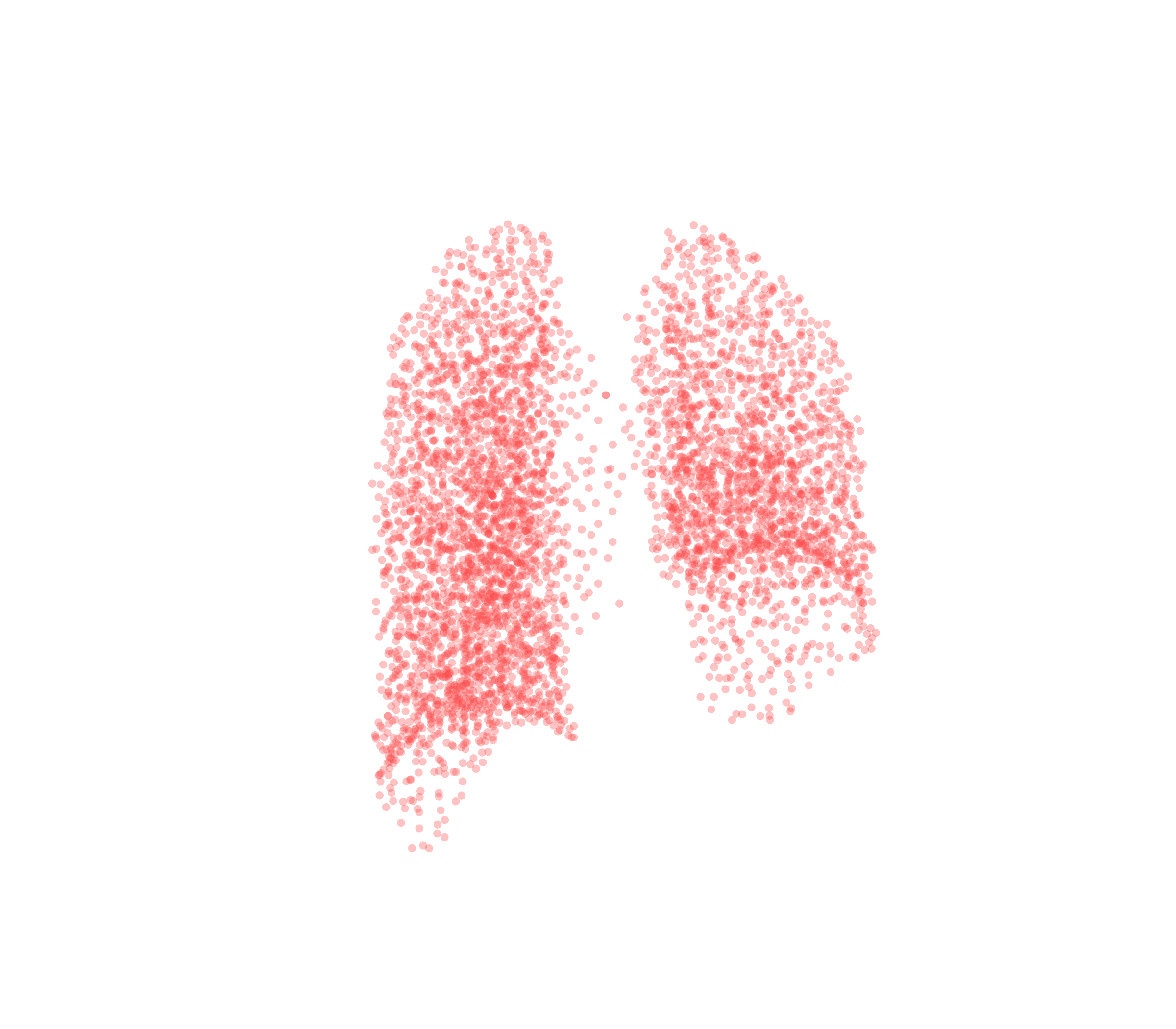 Point Cloud (Expiration) - Back View