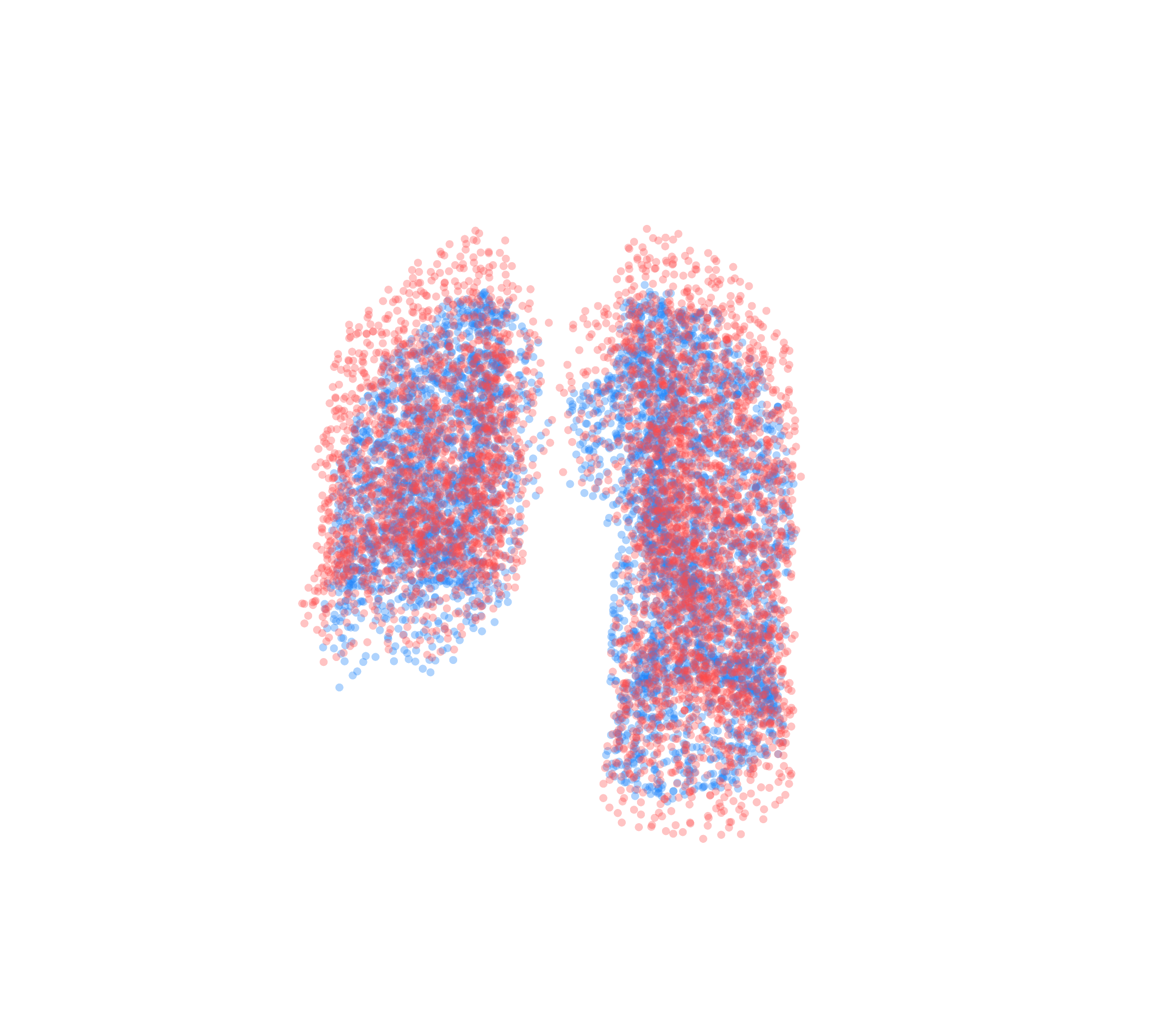 Point Cloud - Front View