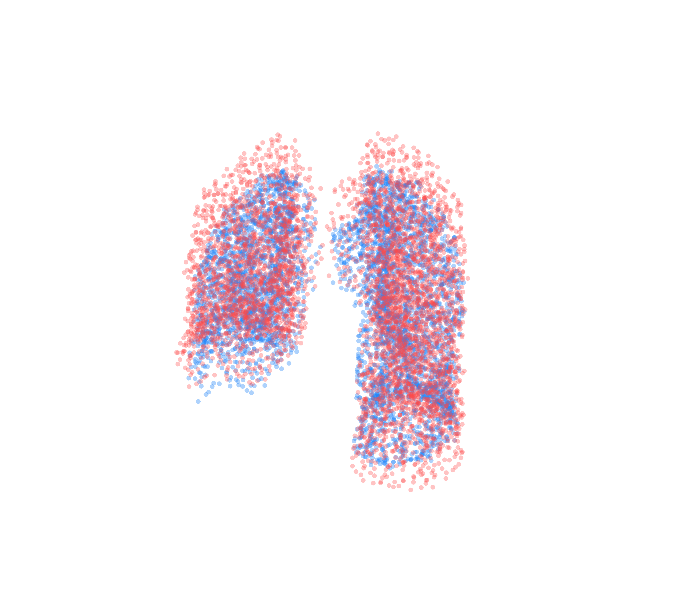 Point Cloud - Front View