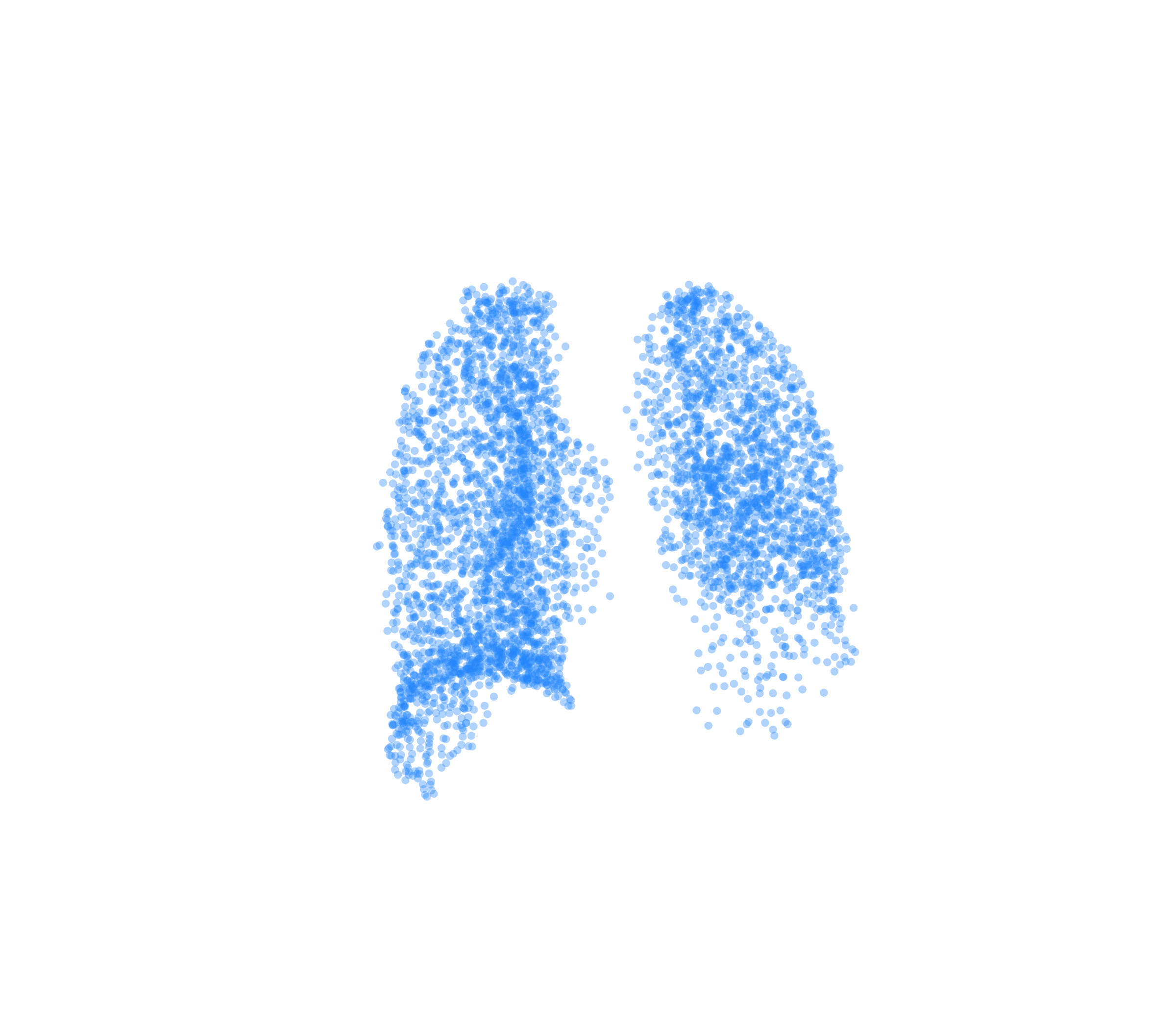 Point Cloud (Inspiration) - Back View