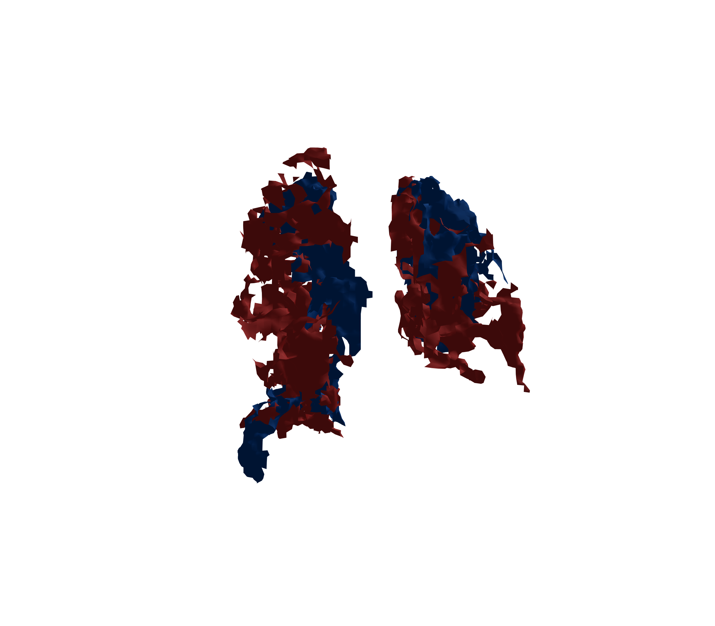 Surface Mesh - Back View