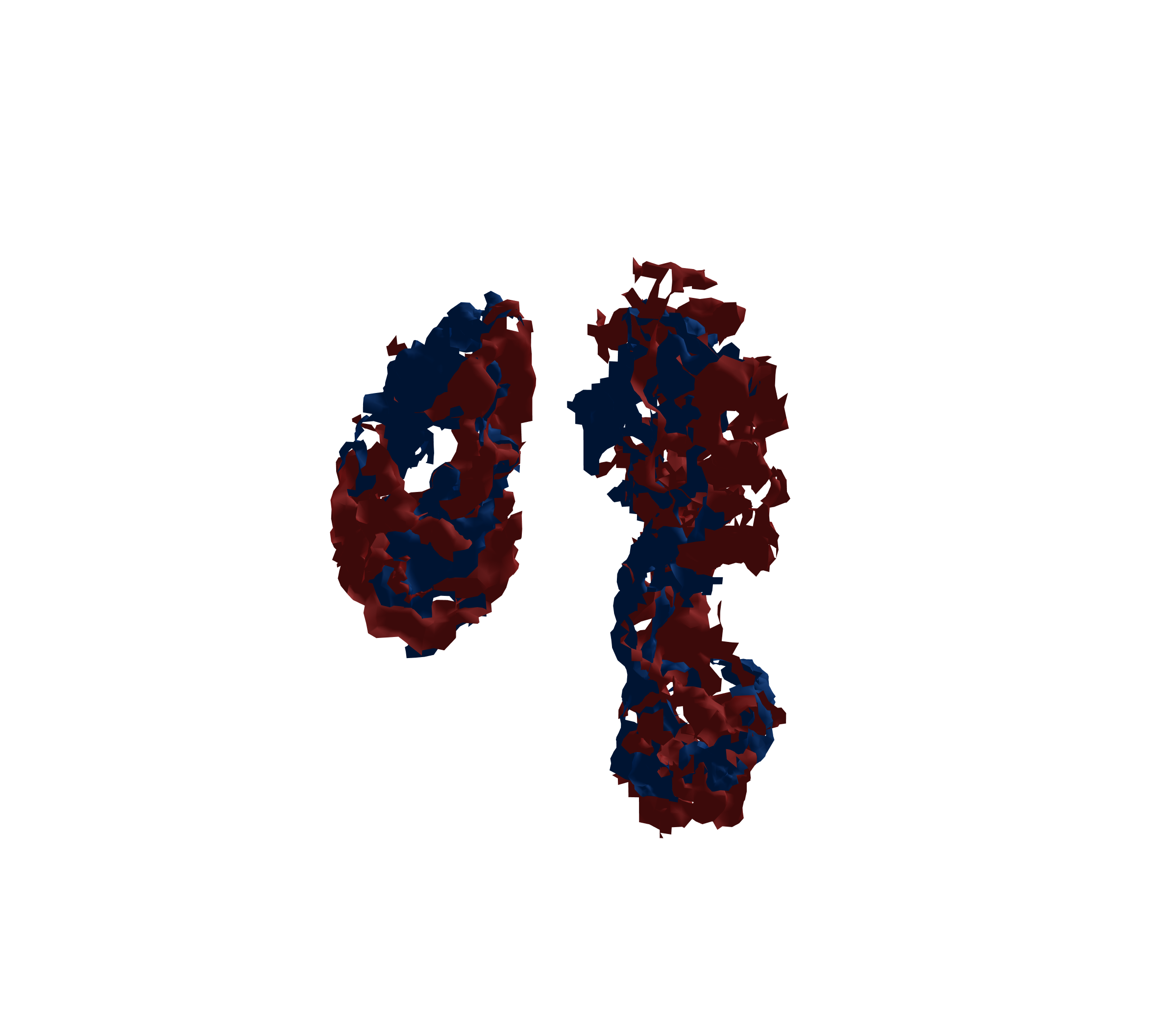 Surface Mesh - Front View