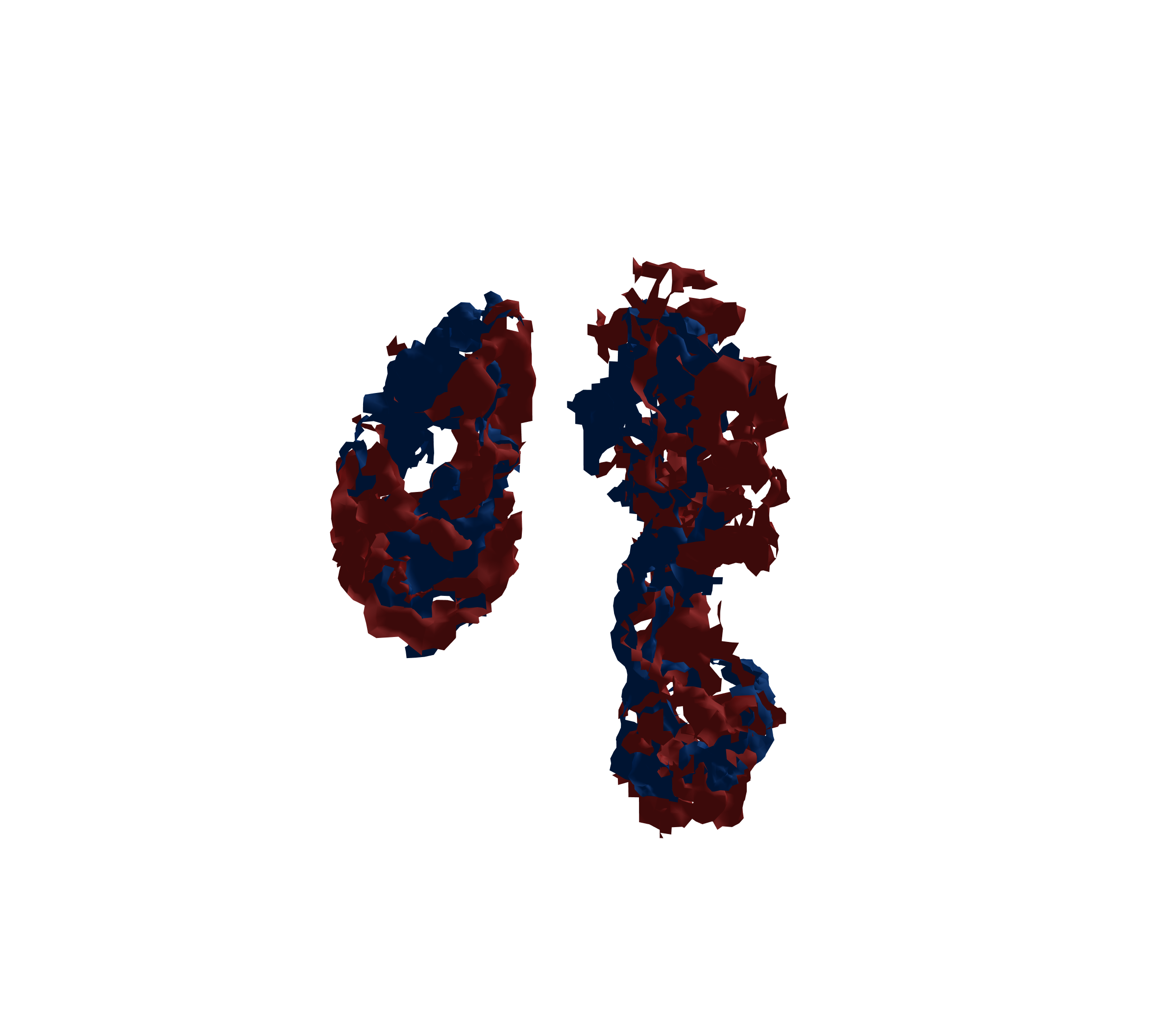 Surface Mesh - Front View